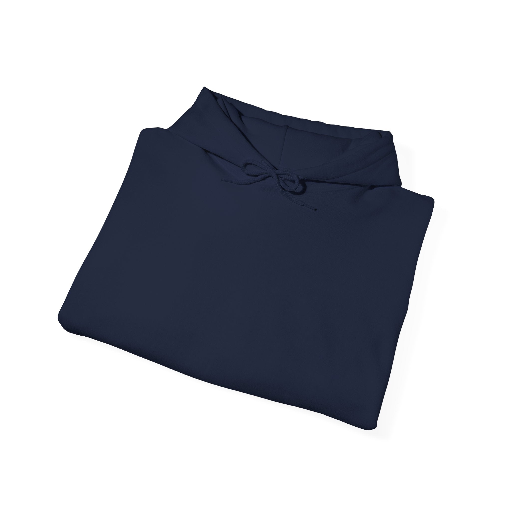 Covilhã Data Center (Covilhã, Portugal) — Hard Hoodie