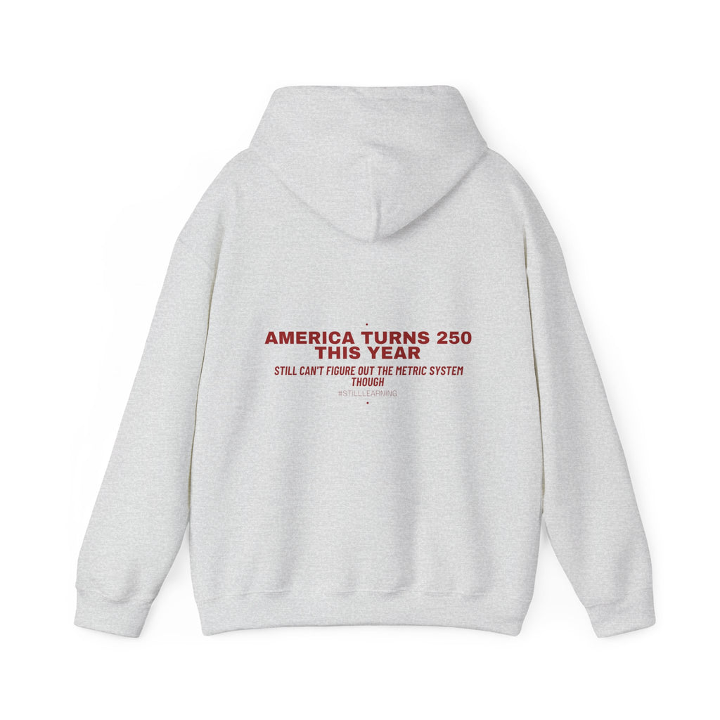 America Turns 250 This Year — Funny Hoodie (Back Print)