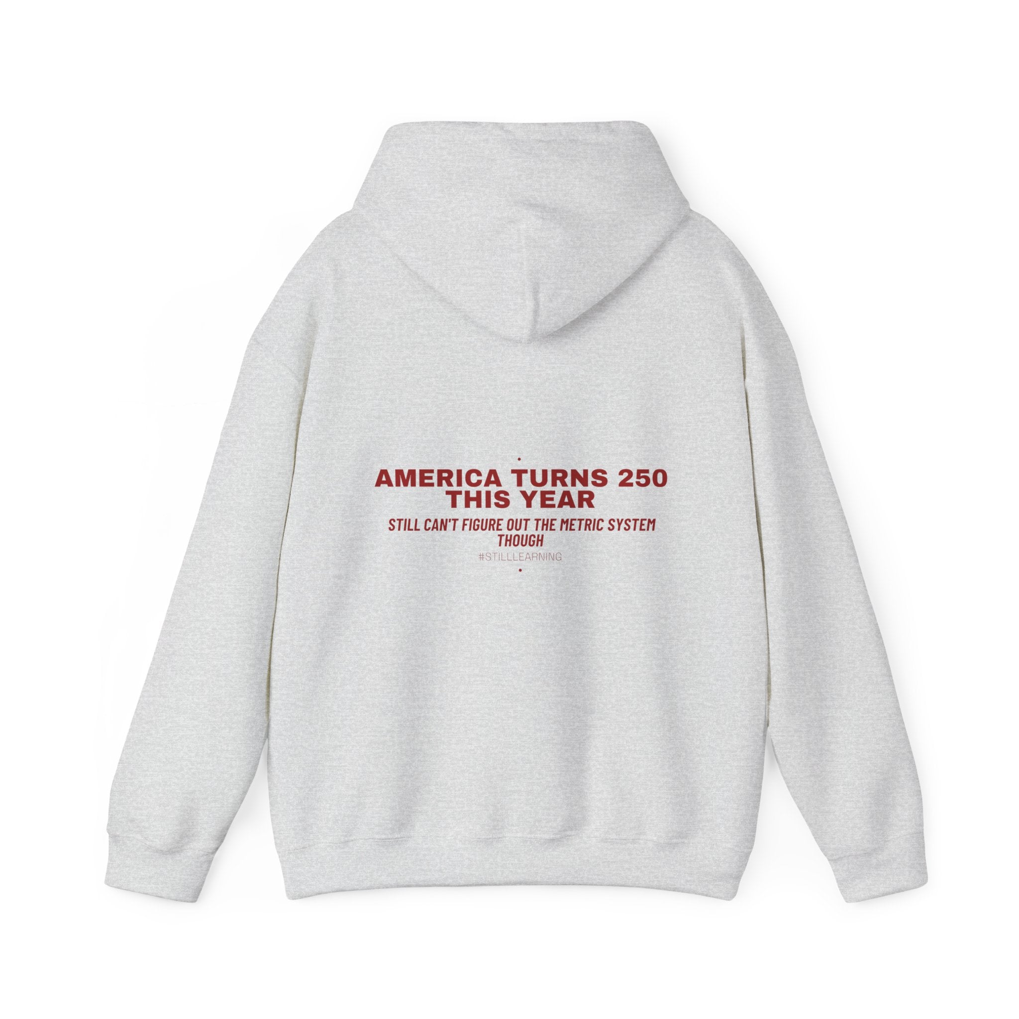 America Turns 250 This Year — Funny Hoodie (Back Print)