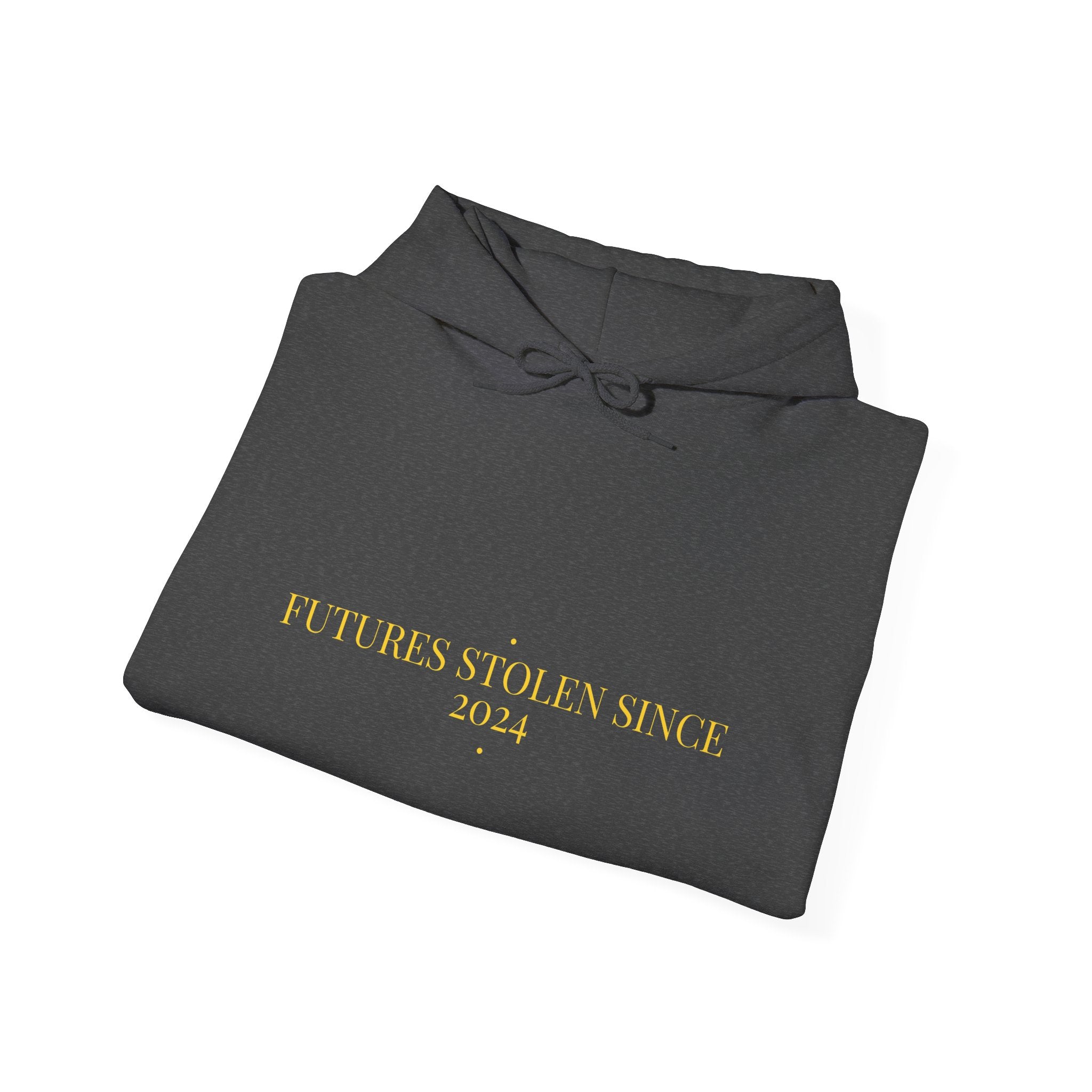 Futures Stolen Since 2024 - Trendy Teez Funny Hoodie mockup