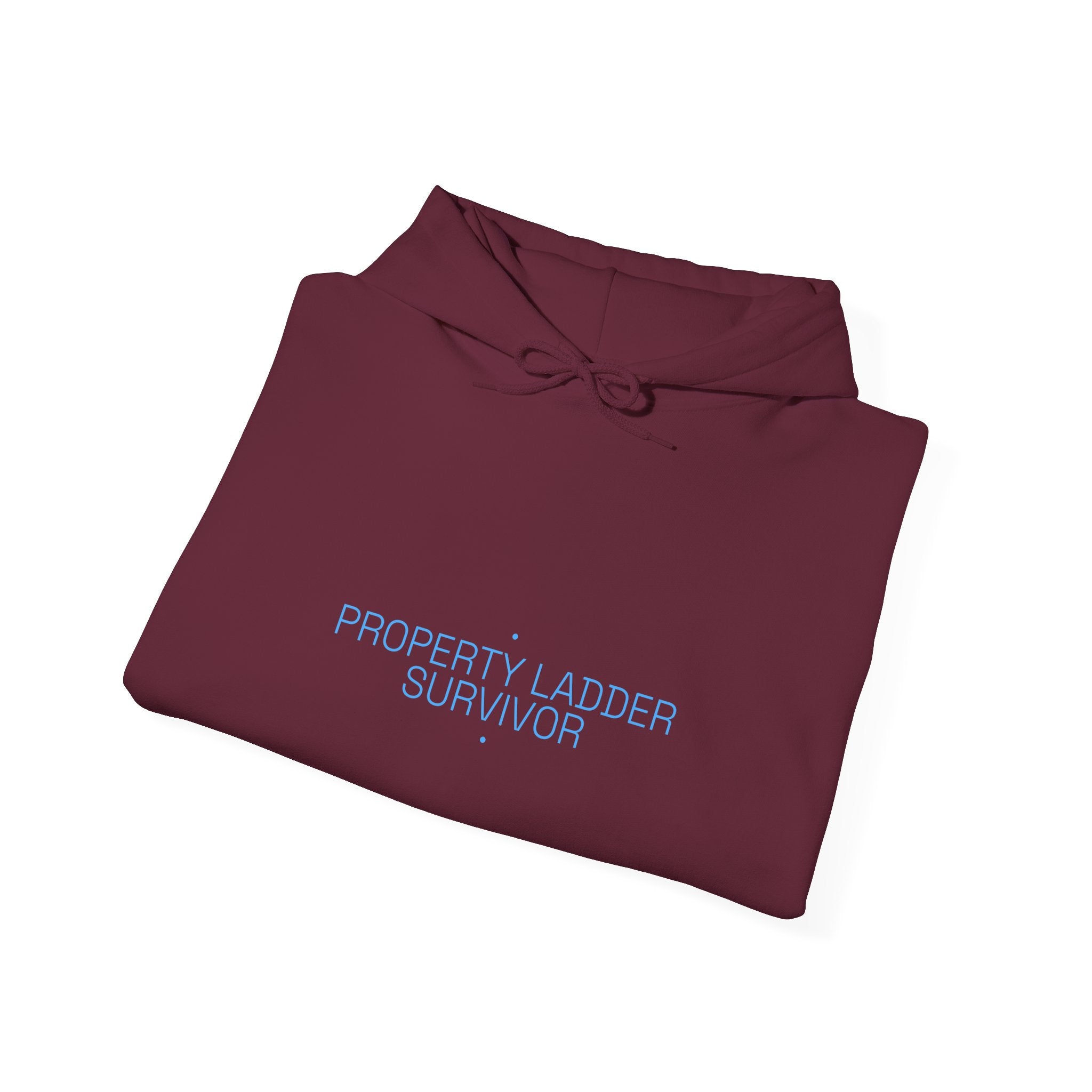 Property Ladder Survivor - Trendy Teez Funny Hoodie mockup