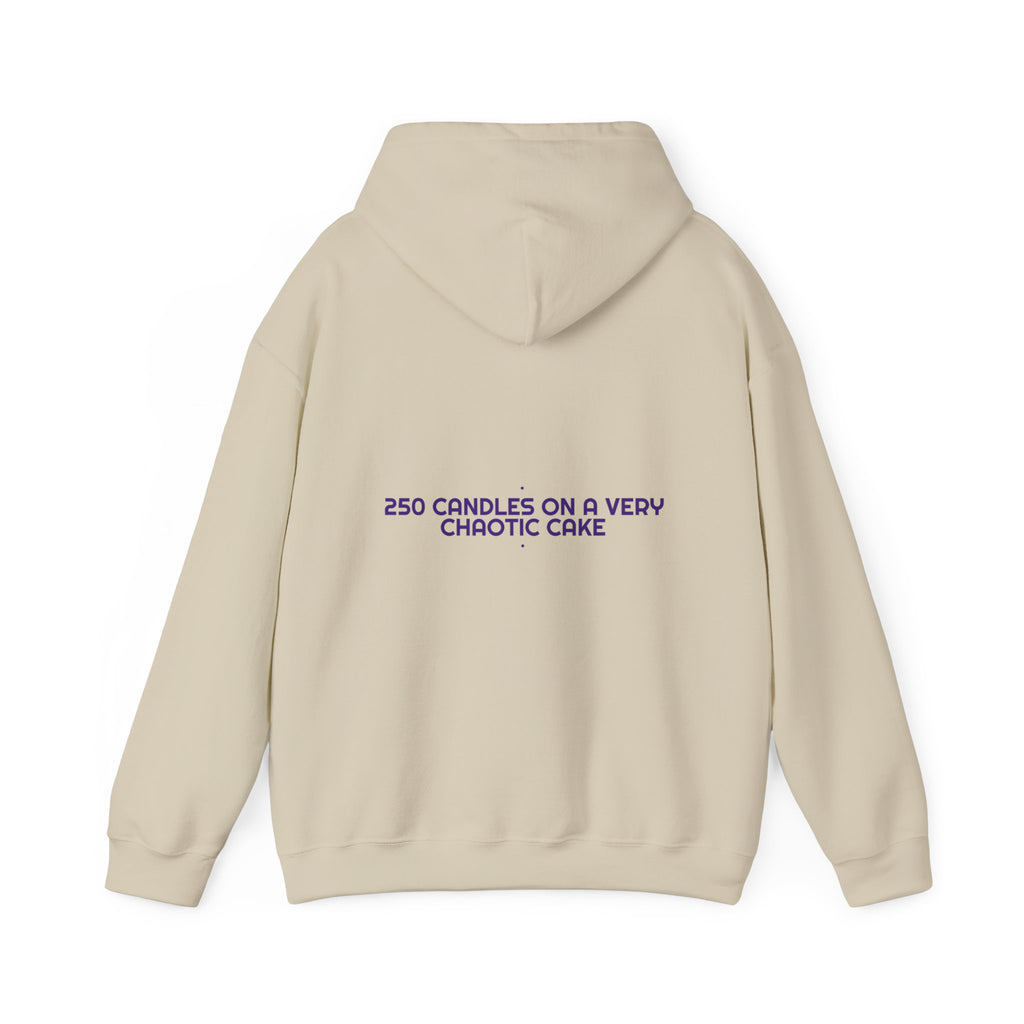 250 Candles On A Very Chaotic Cake — Funny Hoodie (Back Print)