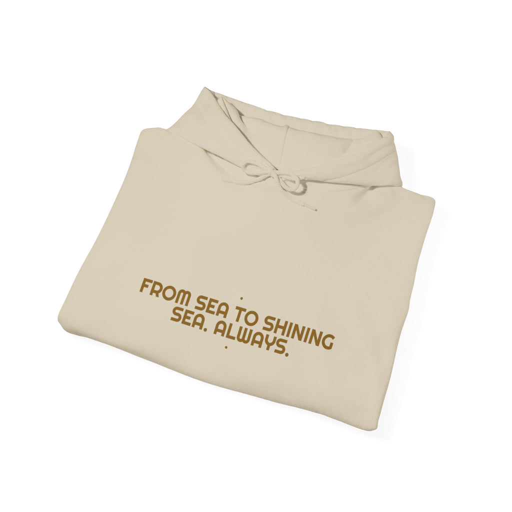 From Sea To Shining Sea. Always. - Trendy Teez Funny Hoodie mockup
