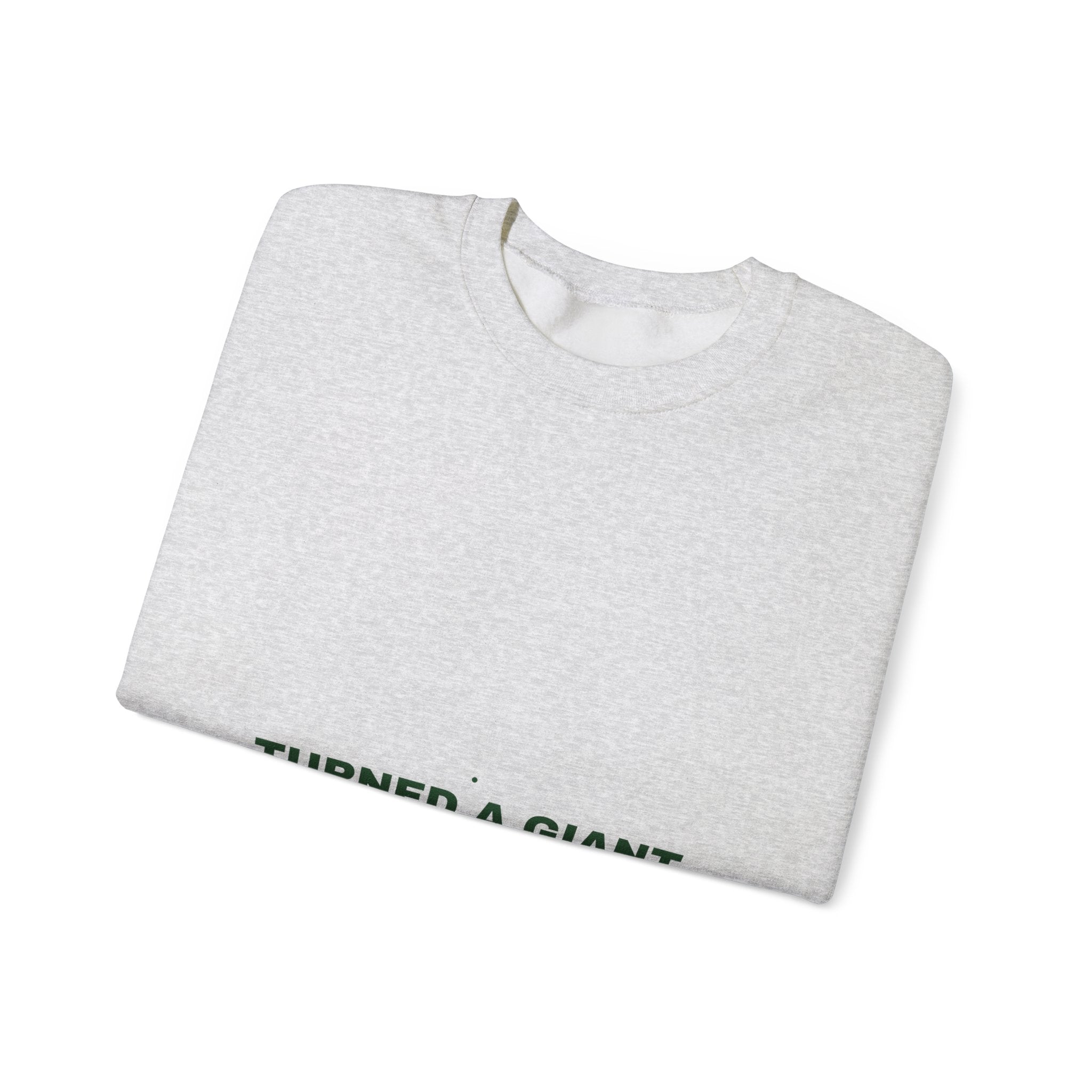 Turned A Giant Hole Into A Park — Funny Crewneck