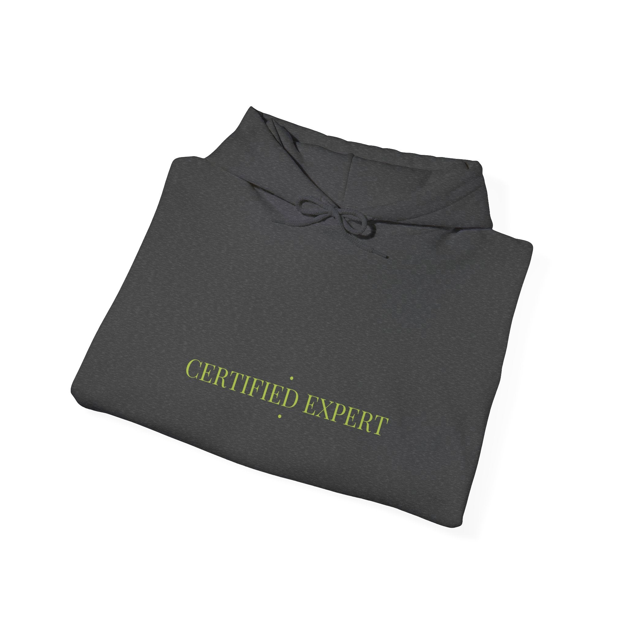 Certified Expert - Trendy Teez Funny Hoodie mockup
