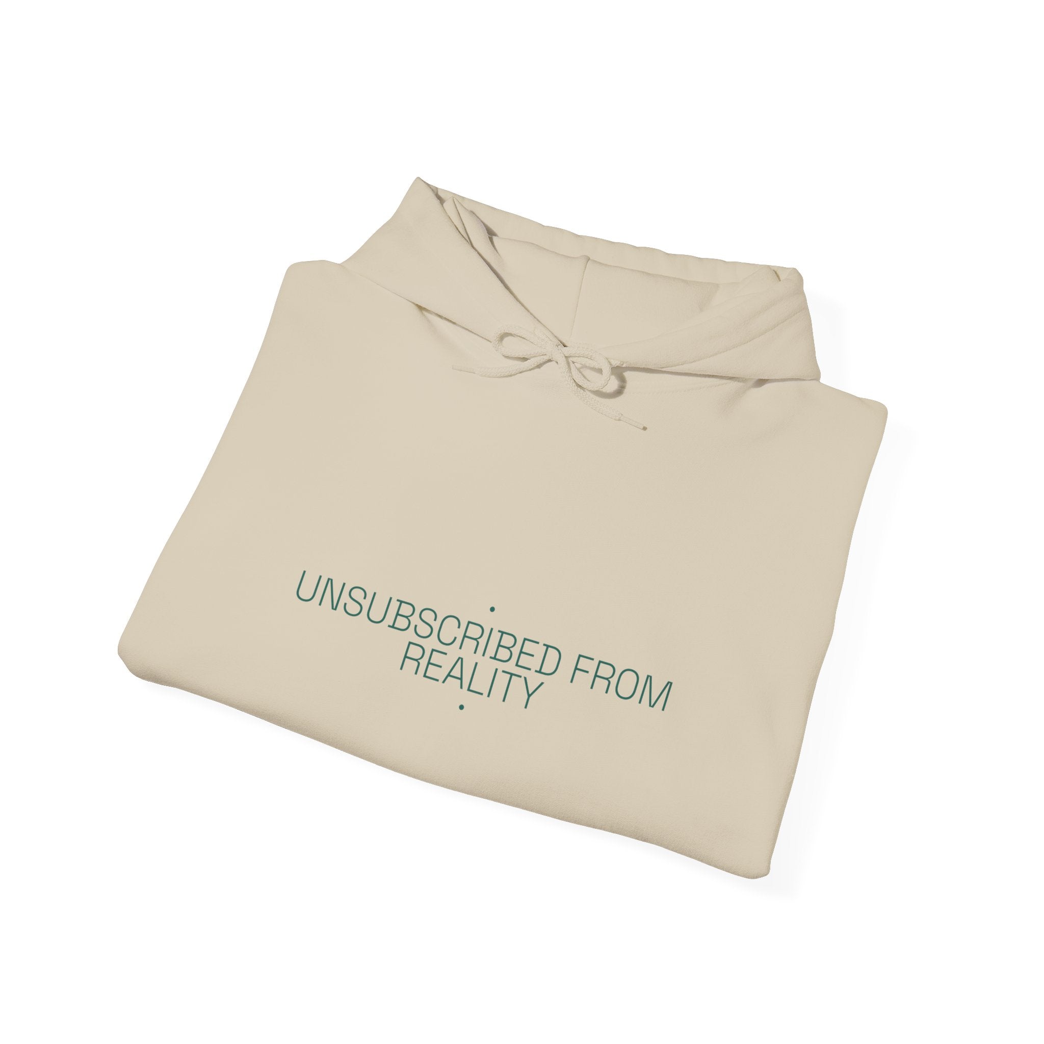 Unsubscribed From Reality - Trendy Teez Funny Hoodie mockup