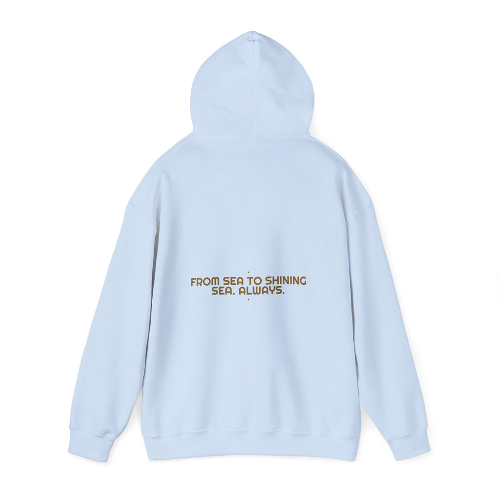 From Sea To Shining Sea. Always. - Trendy Teez Funny Hoodie (Back Print) mockup