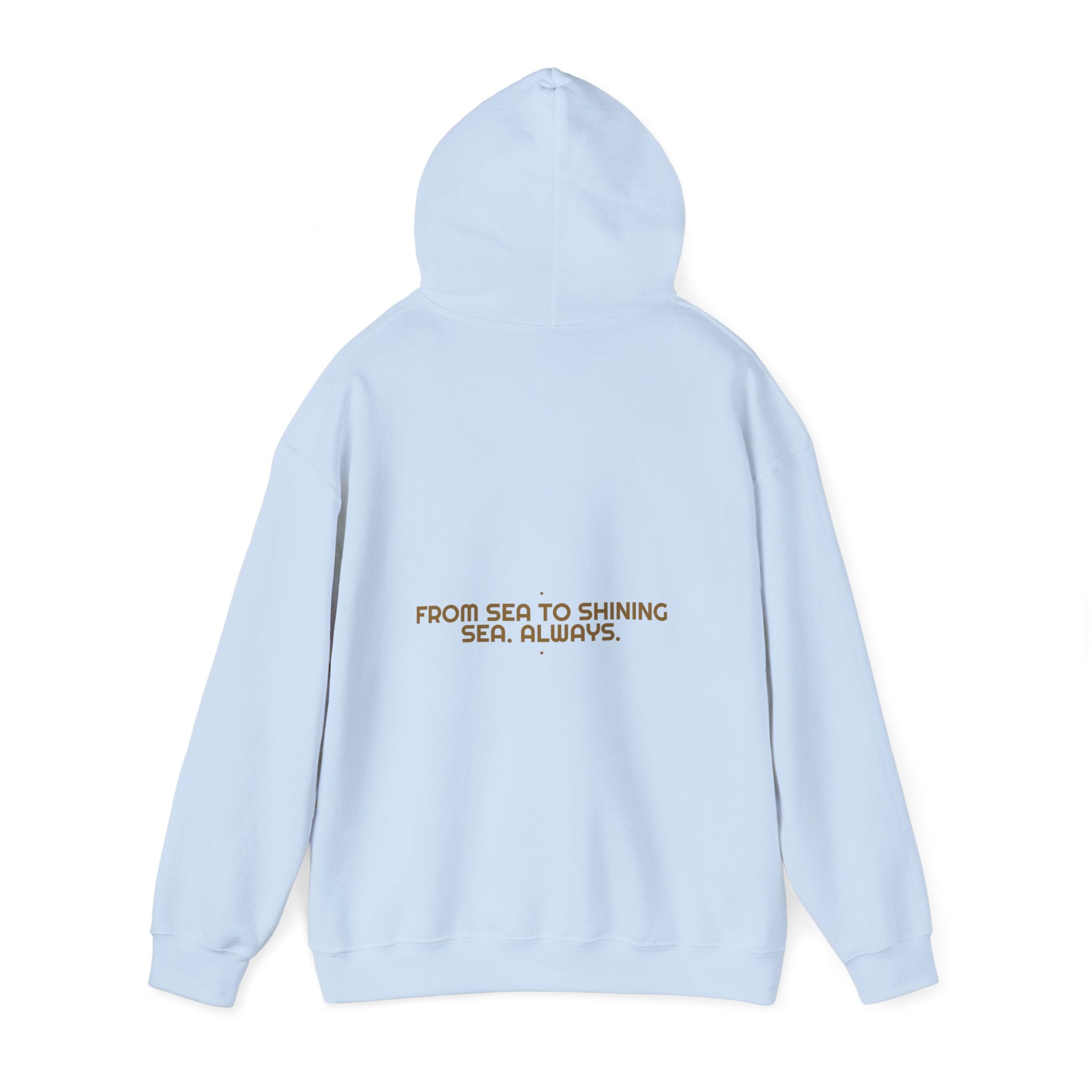From Sea To Shining Sea. Always. - Trendy Teez Funny Hoodie (Back Print) mockup
