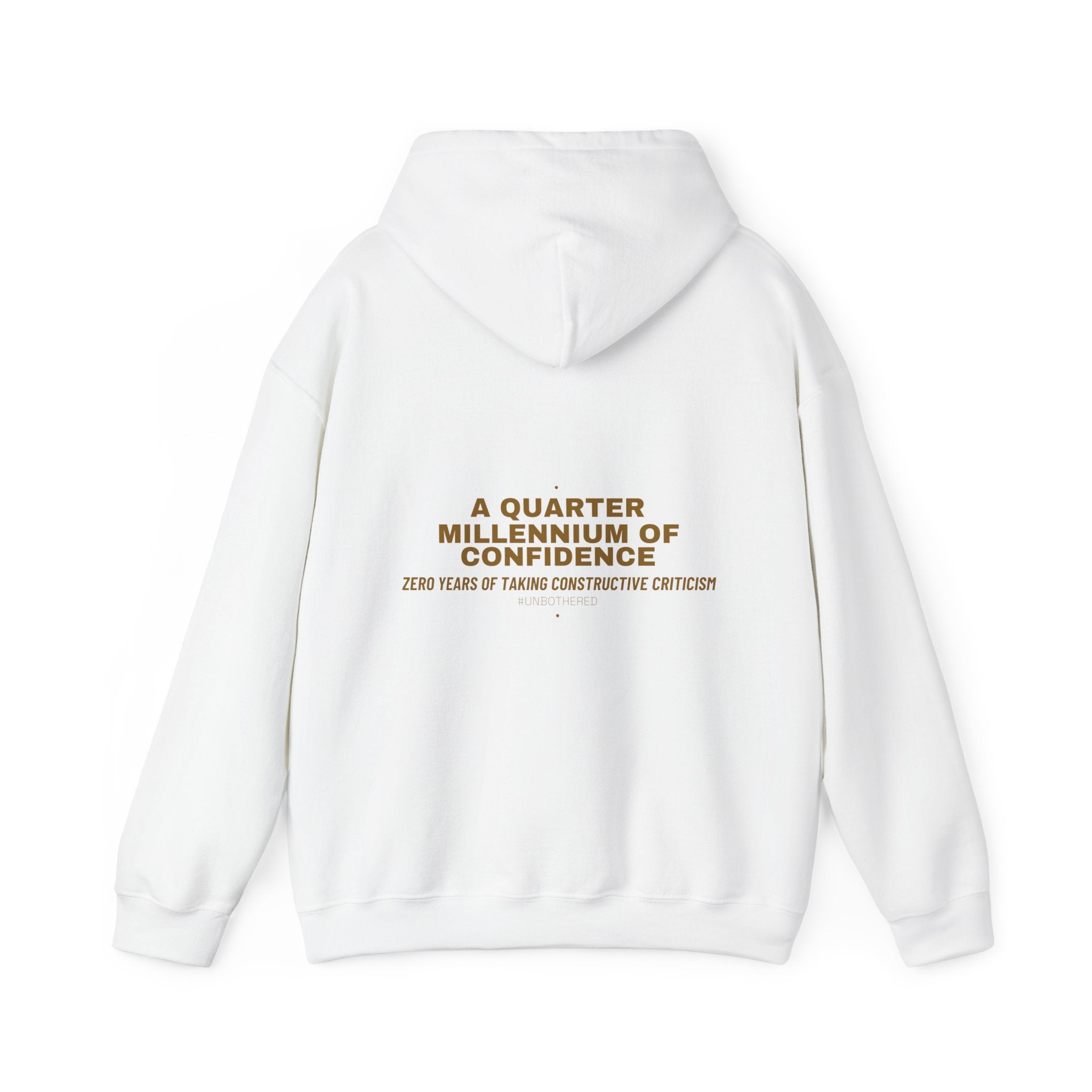 A Quarter Millennium Of Confidence — Funny Hoodie (Back Print)