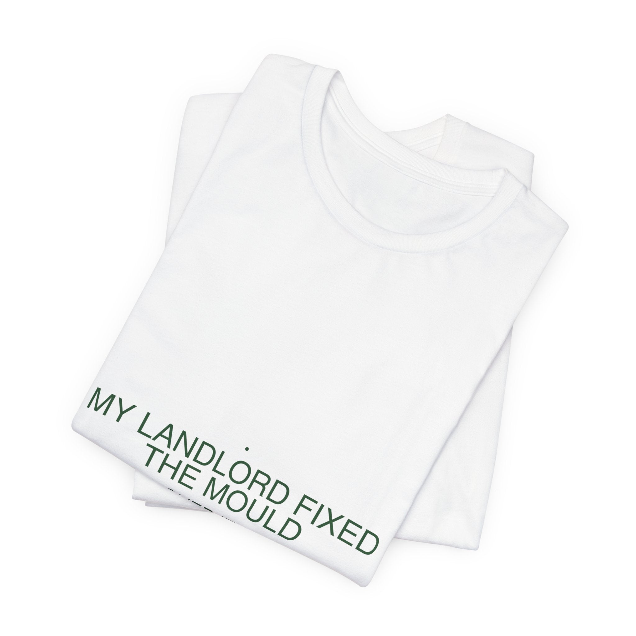My Landlord Fixed The Mould - Trendy Teez Funny Tee mockup