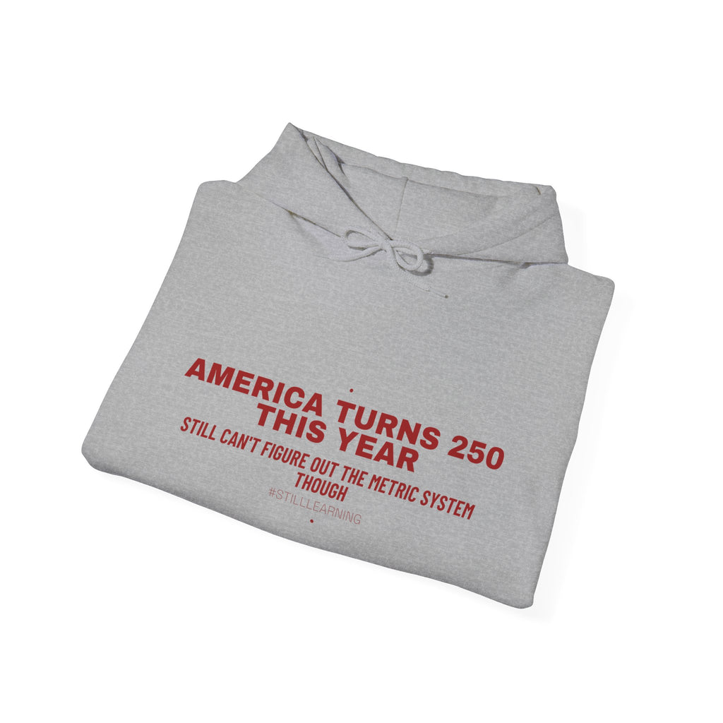 America Turns 250 This Year — Funny Hoodie