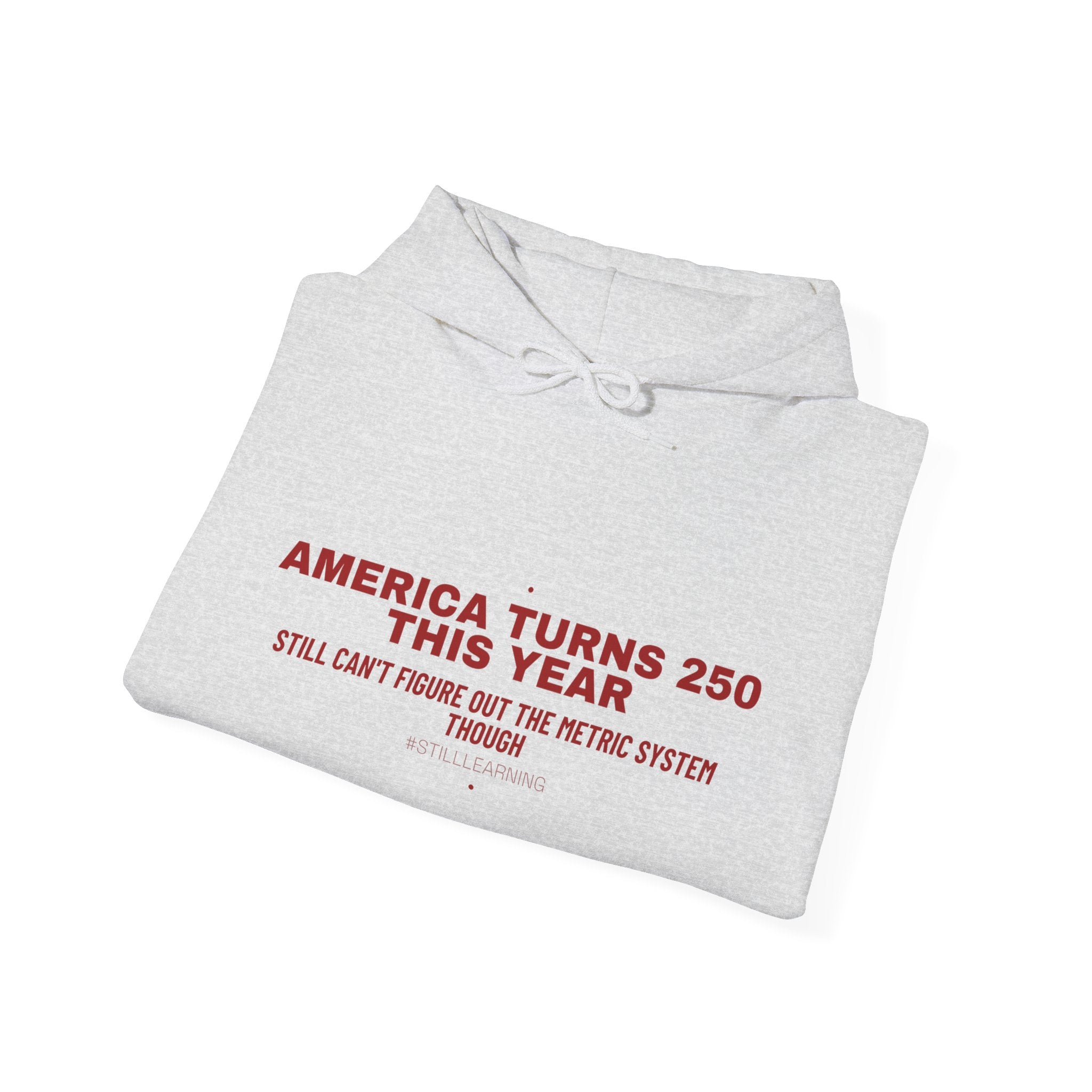 America Turns 250 This Year — Funny Hoodie