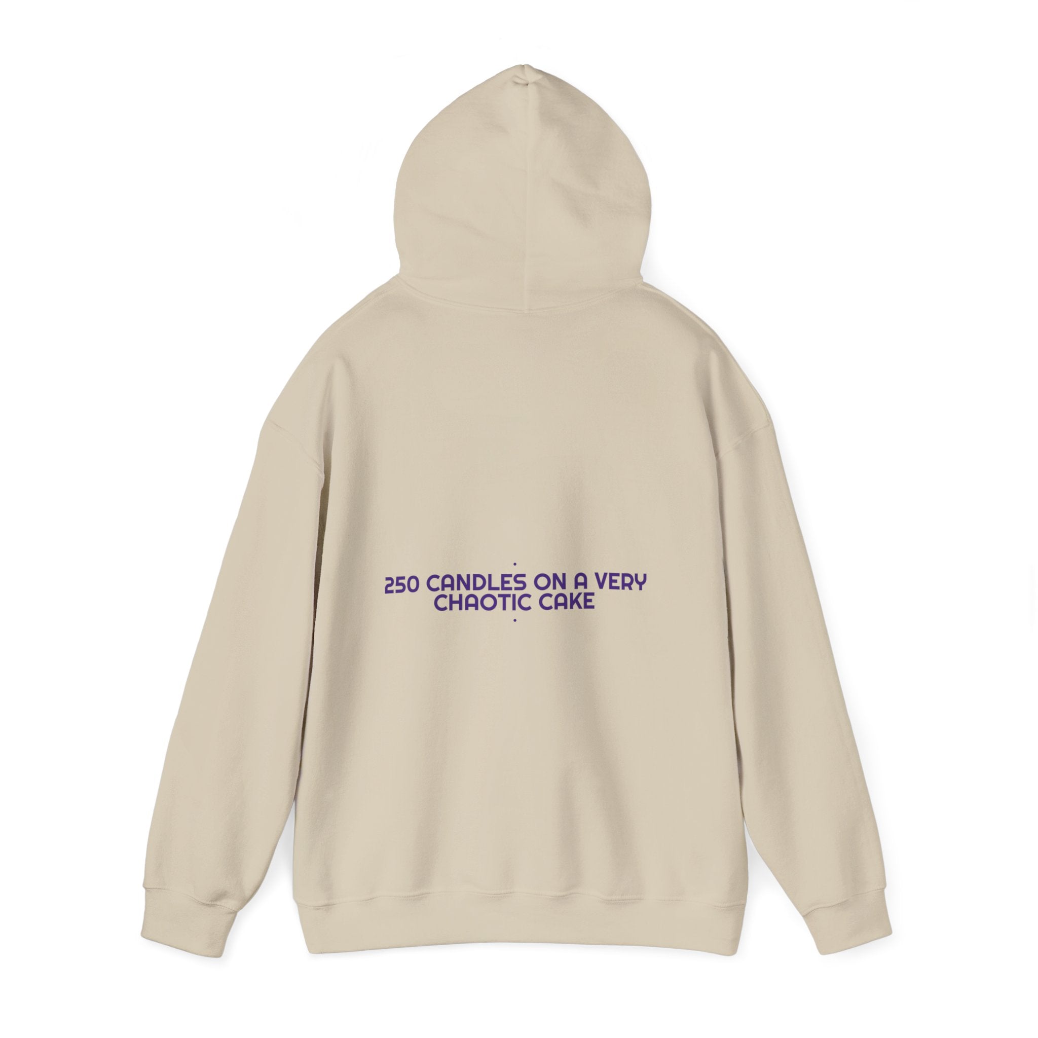 250 Candles On A Very Chaotic Cake — Funny Hoodie (Back Print)