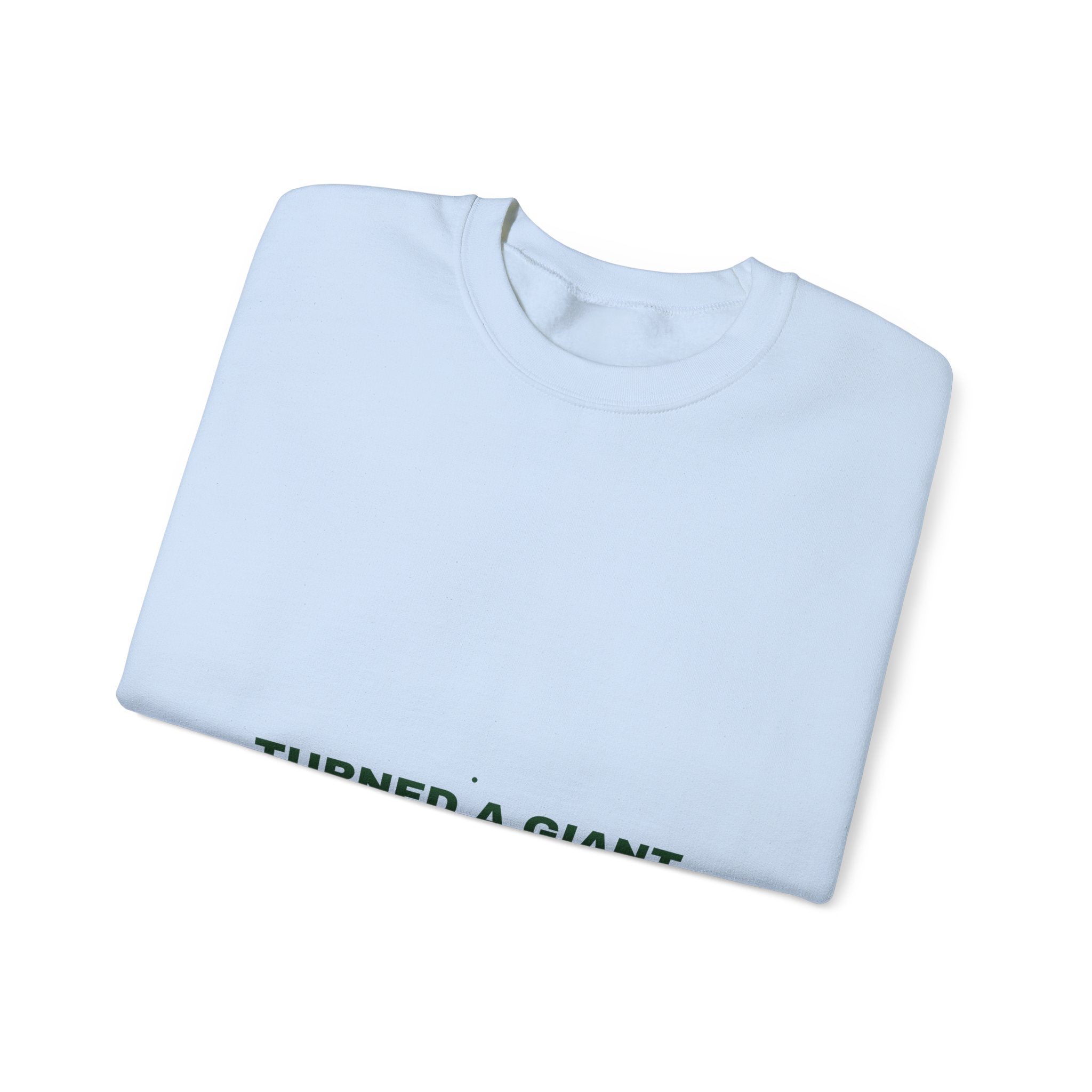 Turned A Giant Hole Into A Park — Funny Crewneck