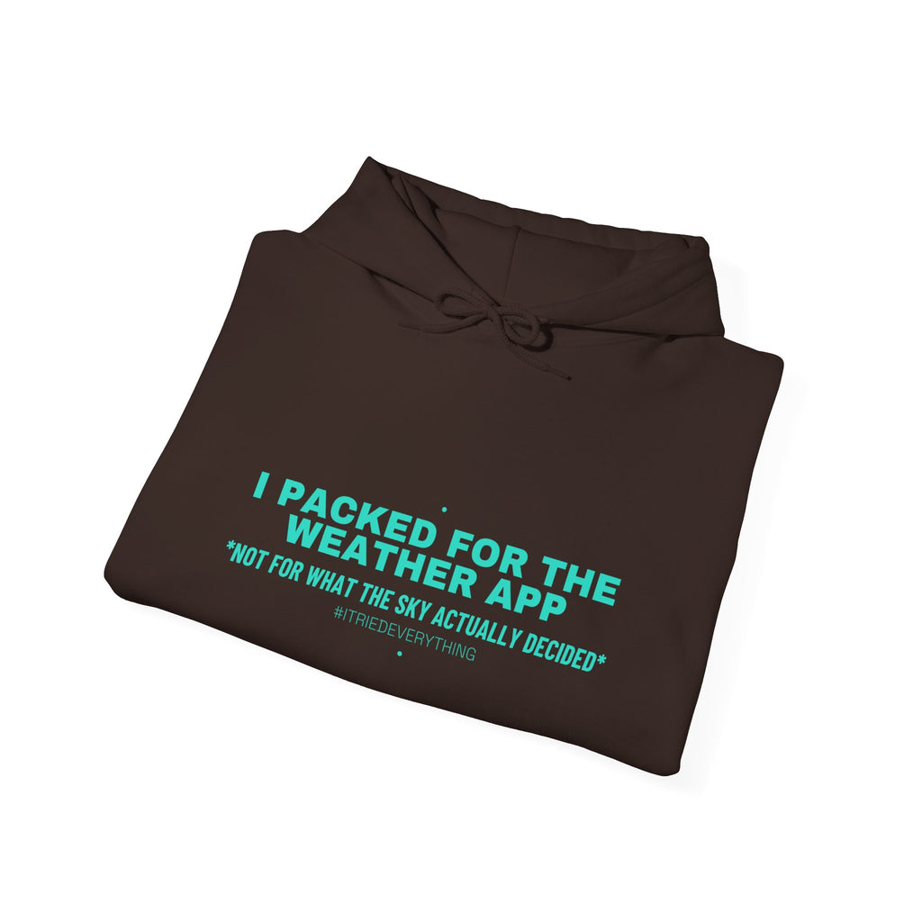 I Packed For The Weather App - Trendy Teez Funny Hoodie mockup