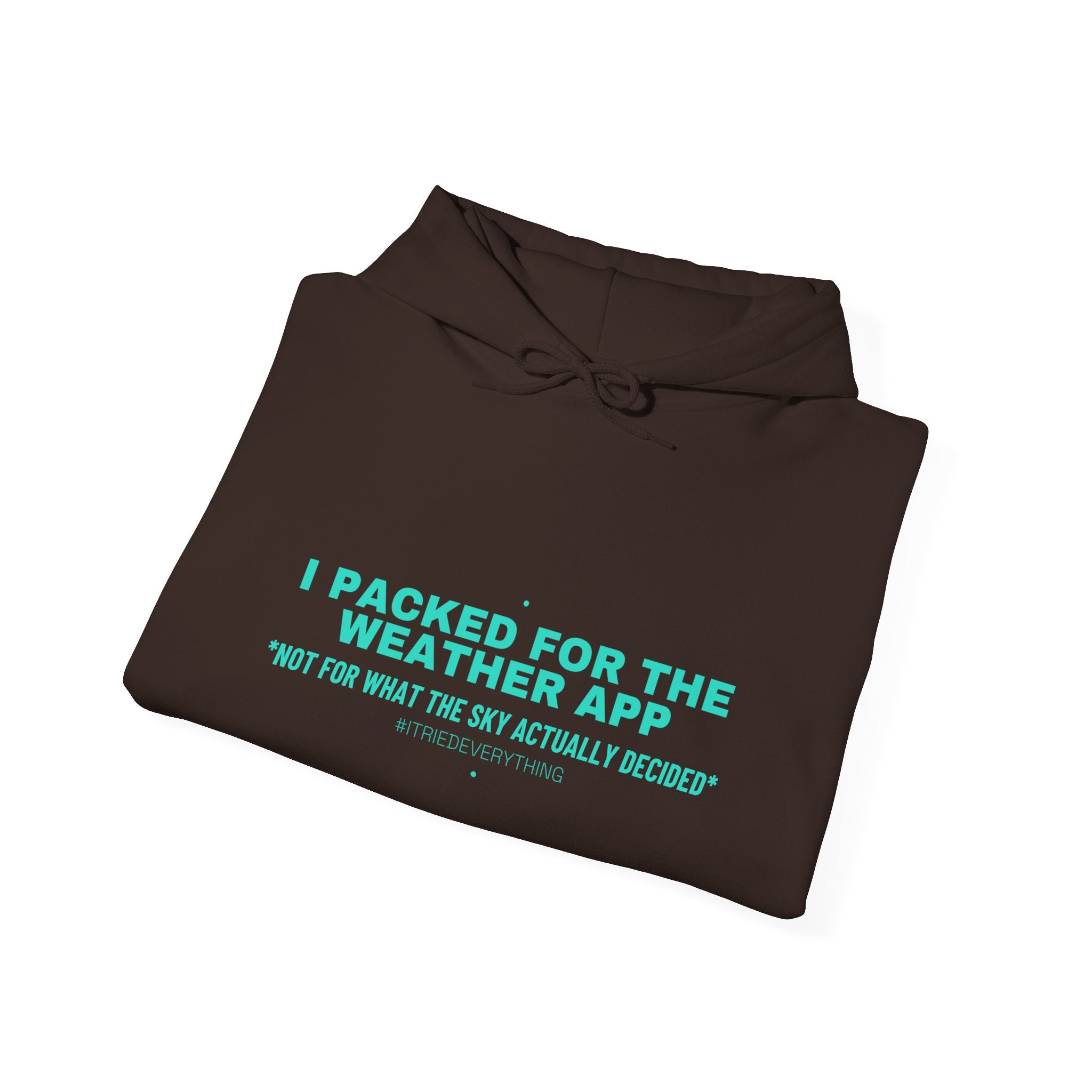 I Packed For The Weather App - Trendy Teez Funny Hoodie mockup
