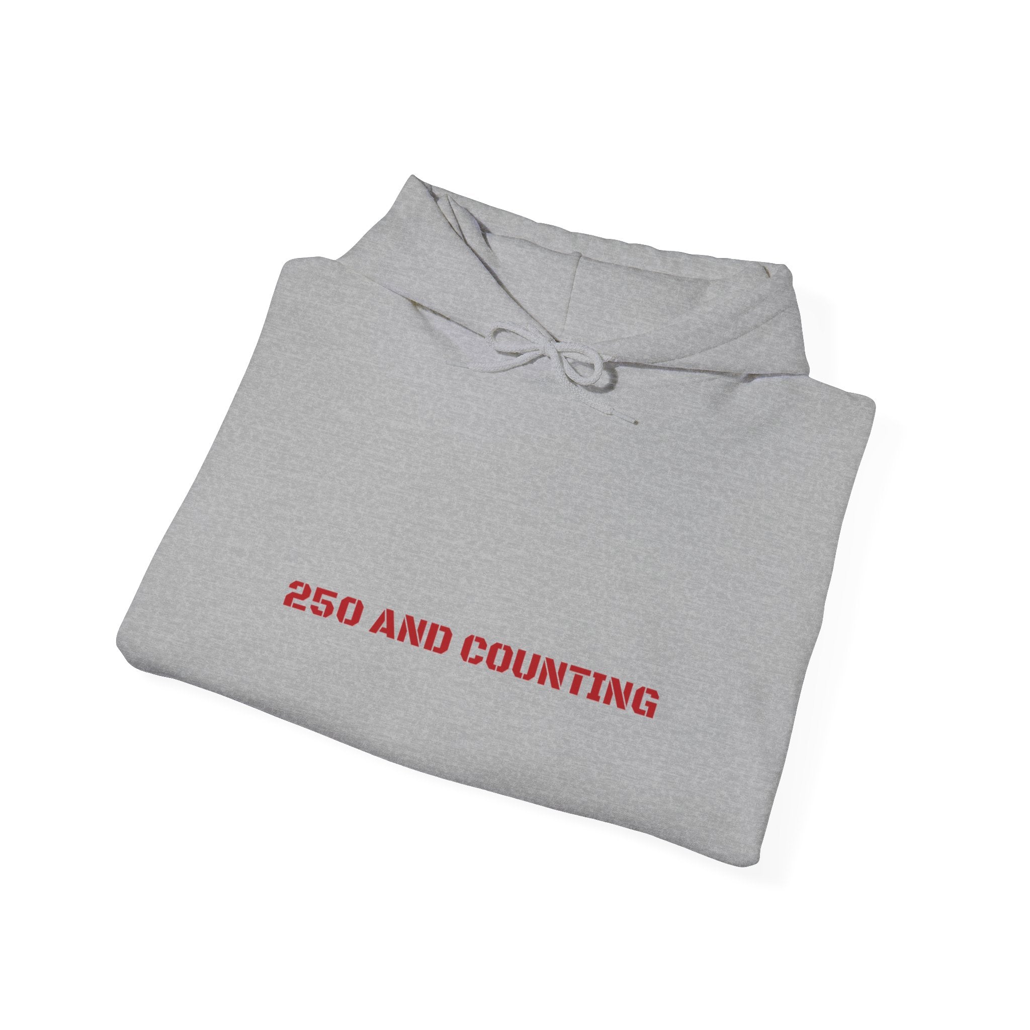 250 And Counting - Trendy Teez Funny Hoodie mockup