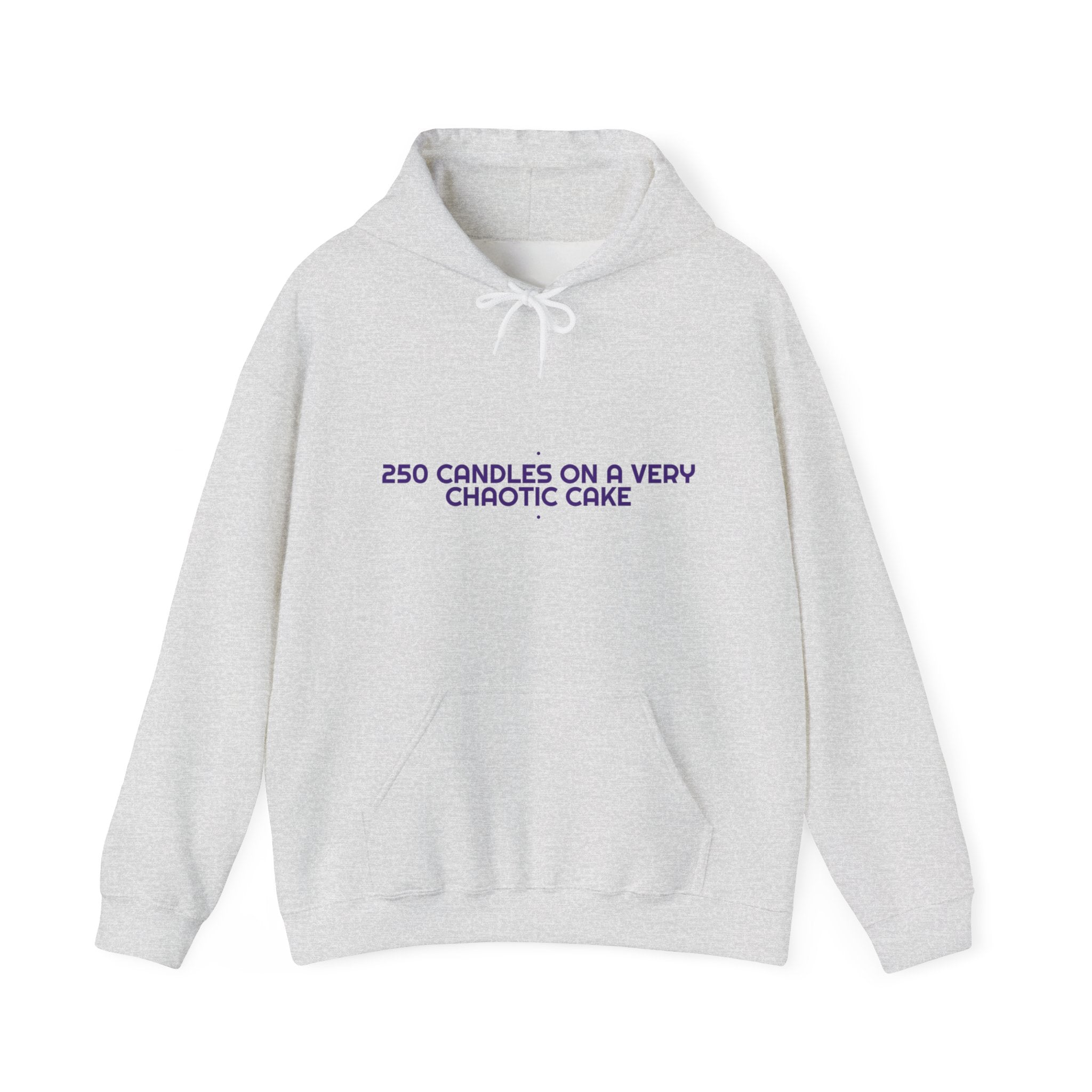 250 Candles On A Very Chaotic Cake — Funny Hoodie
