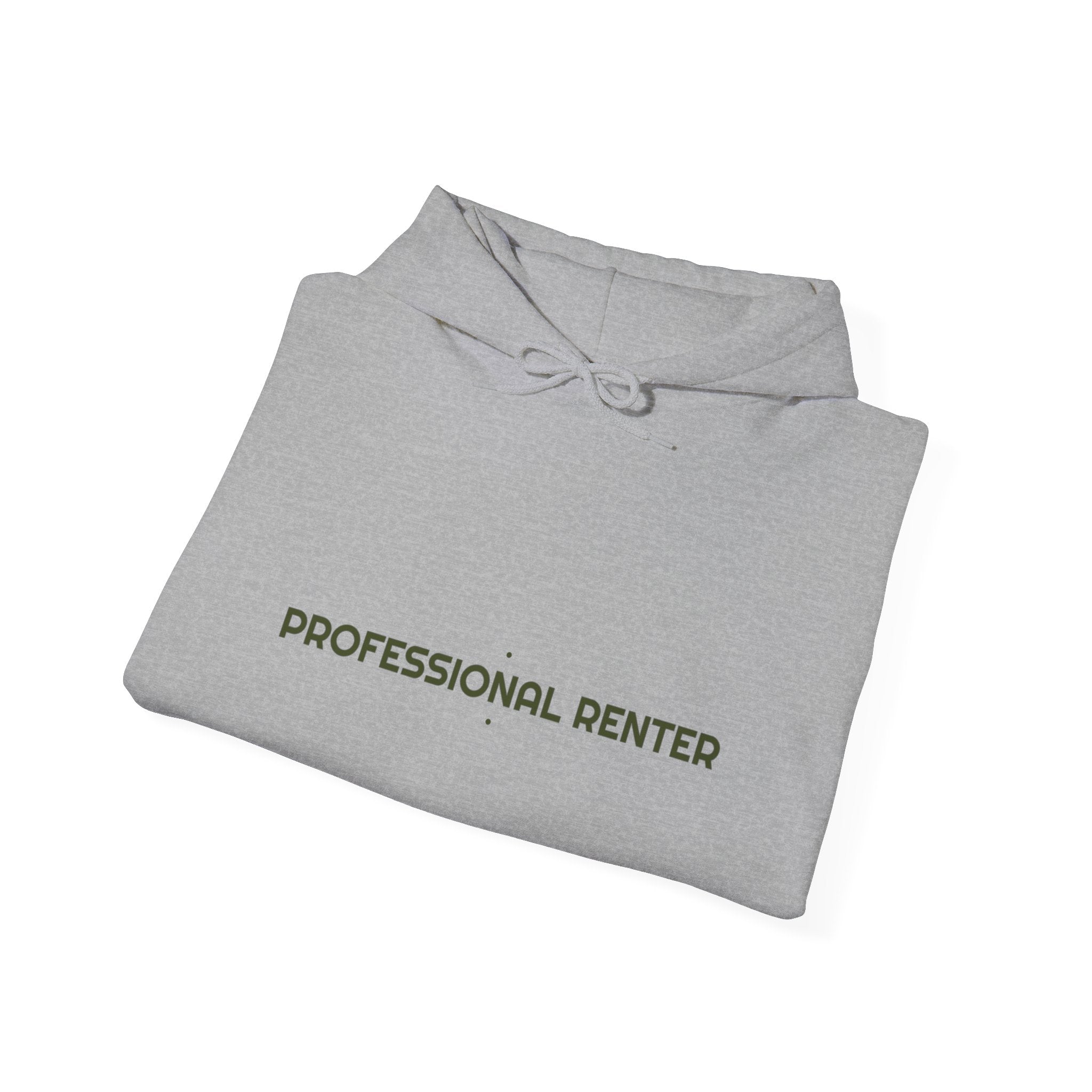 Professional Renter - Trendy Teez Funny Hoodie mockup