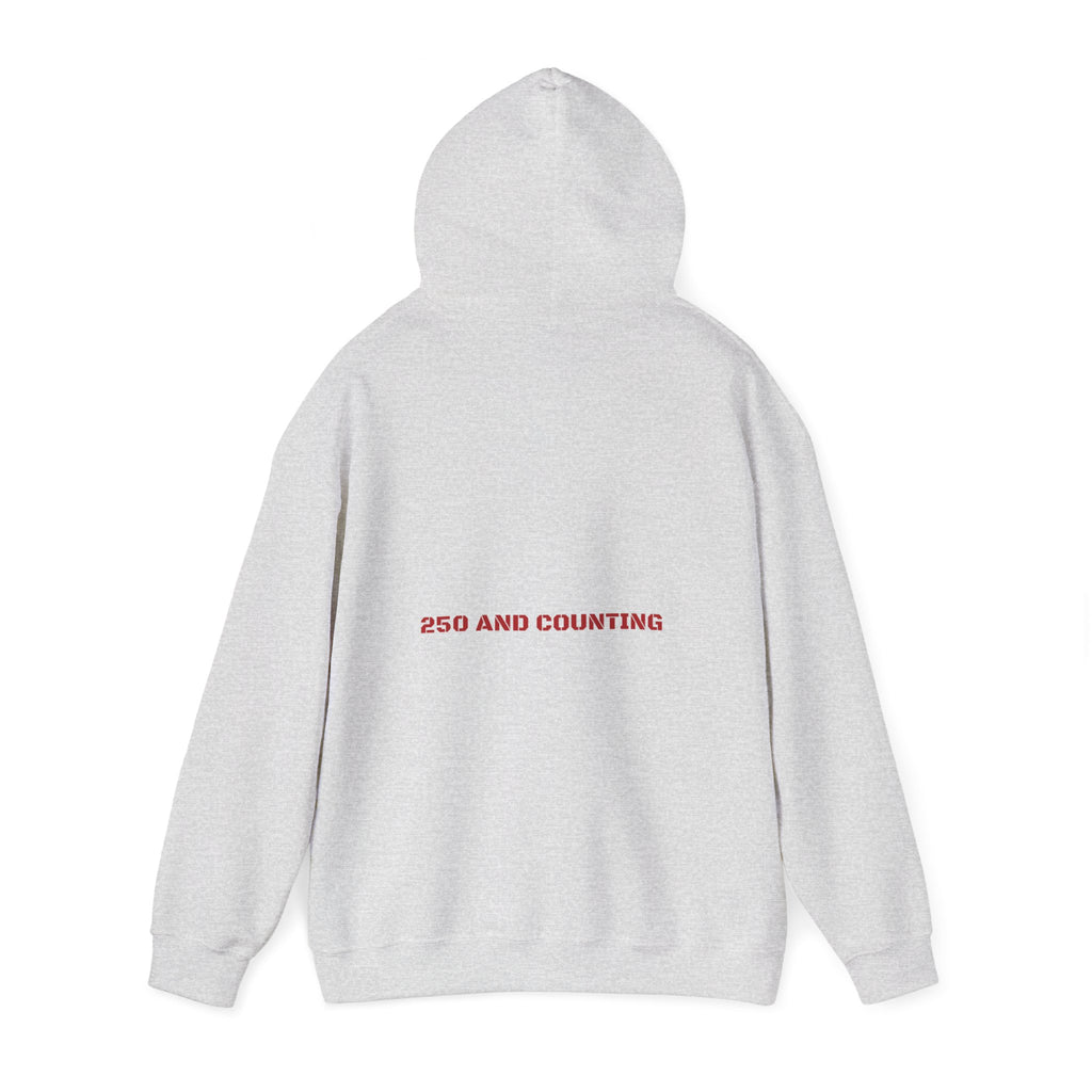 250 And Counting - Trendy Teez Funny Hoodie (Back Print) mockup