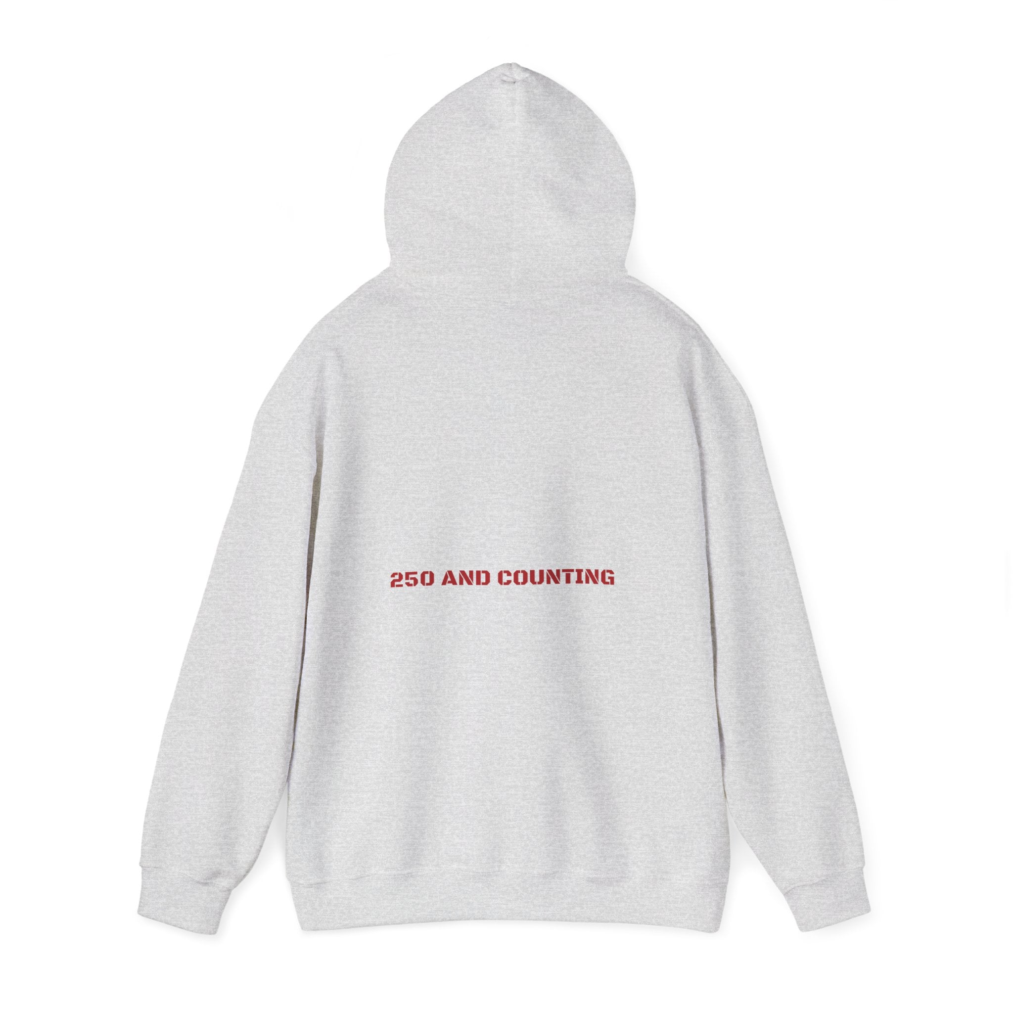250 And Counting - Trendy Teez Funny Hoodie (Back Print) mockup