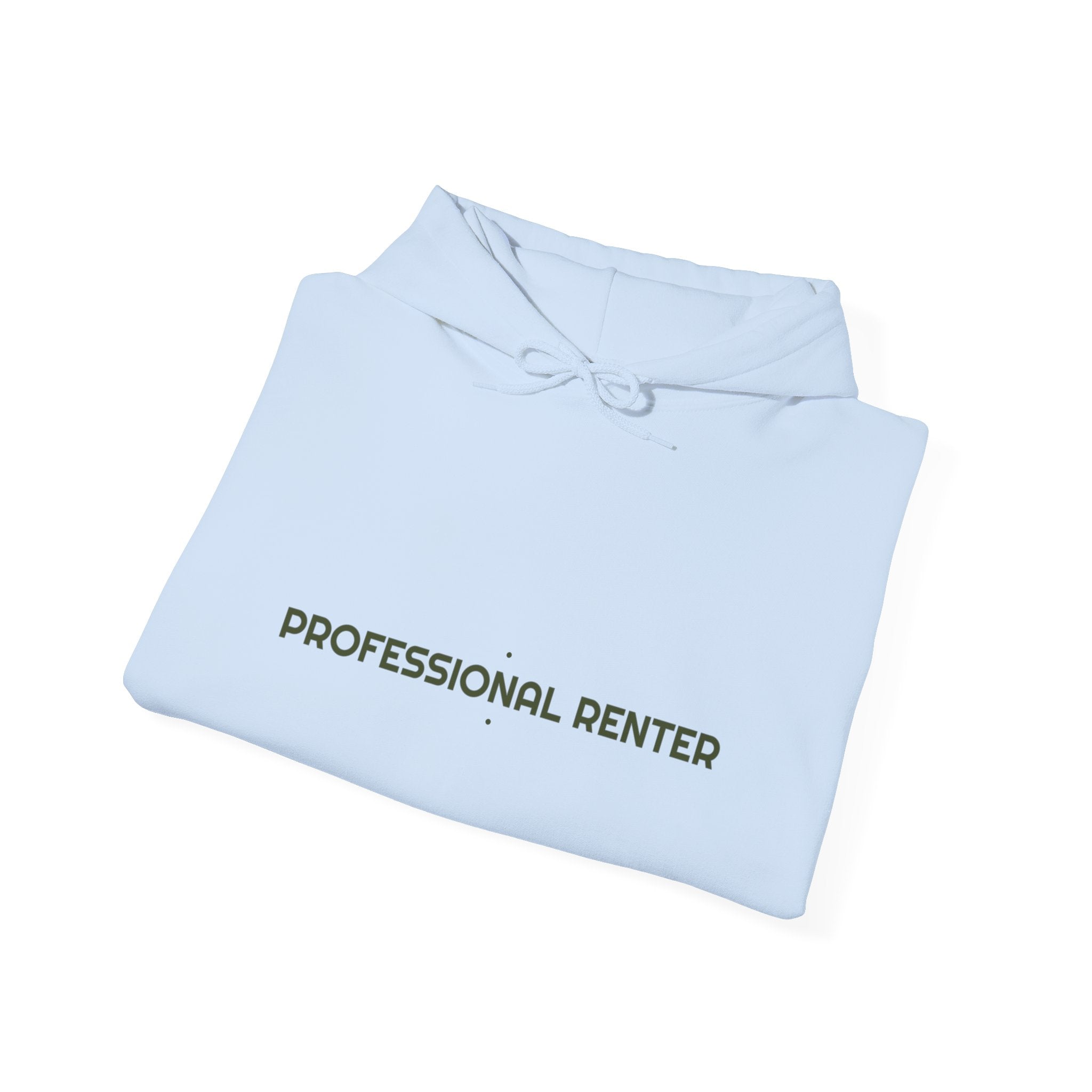 Professional Renter - Trendy Teez Funny Hoodie mockup