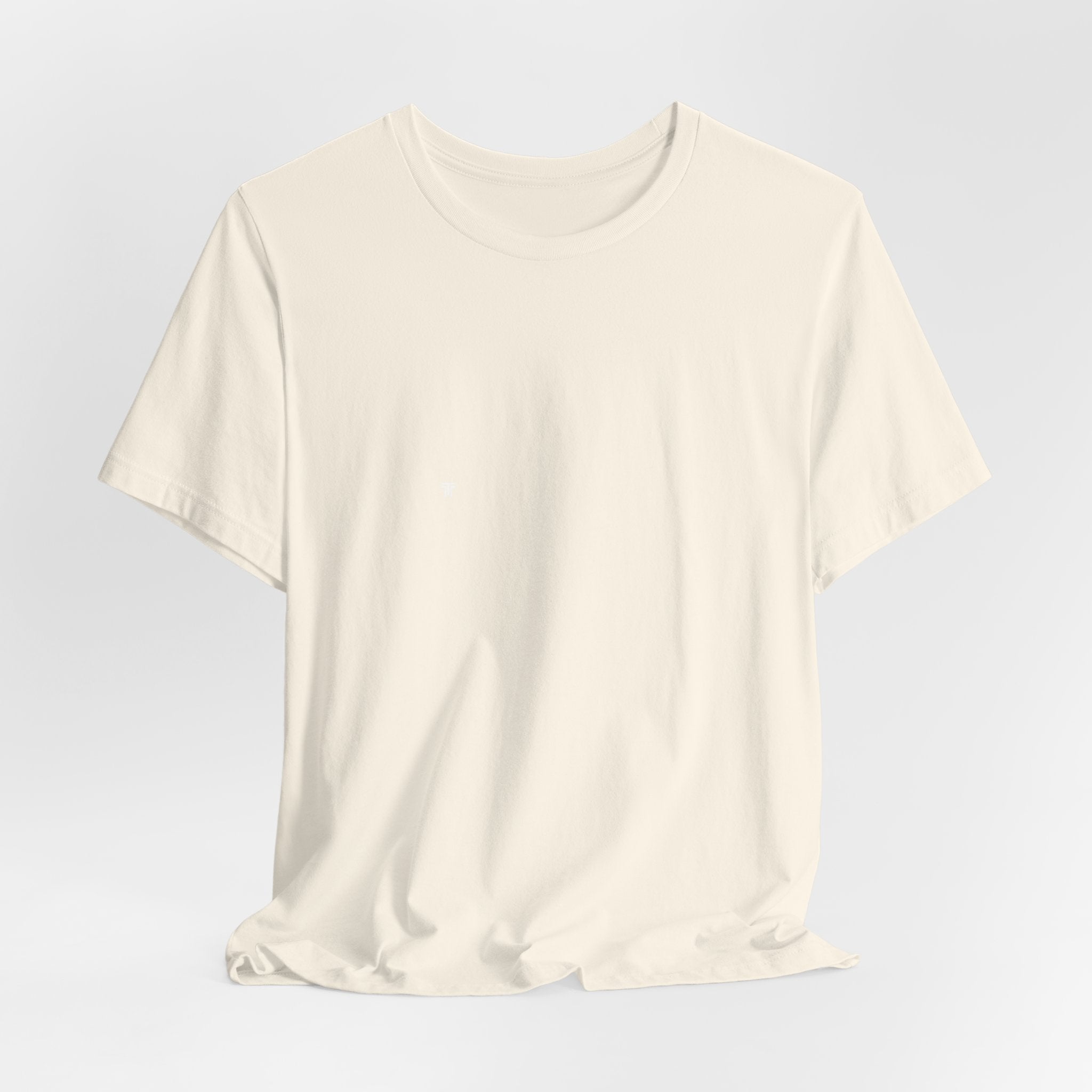 Futures Stolen Since 2024 - Trendy Teez Funny Tee (Back Print) mockup