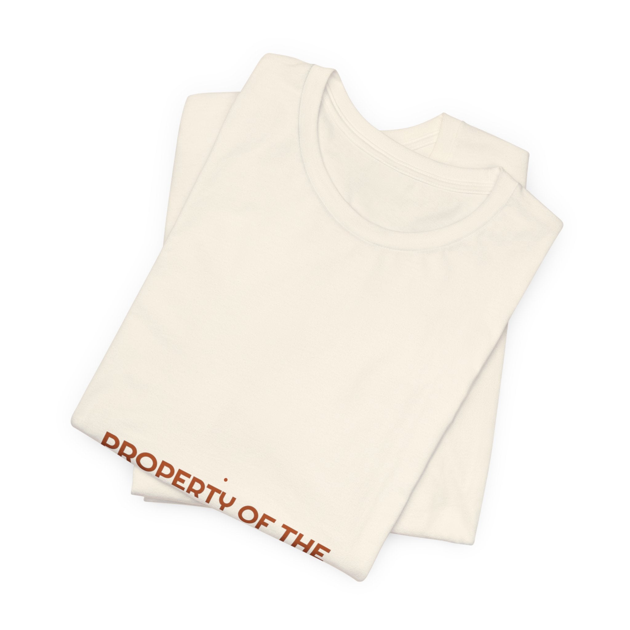 Property Of The Internet - Trendy Teez Funny Tee mockup