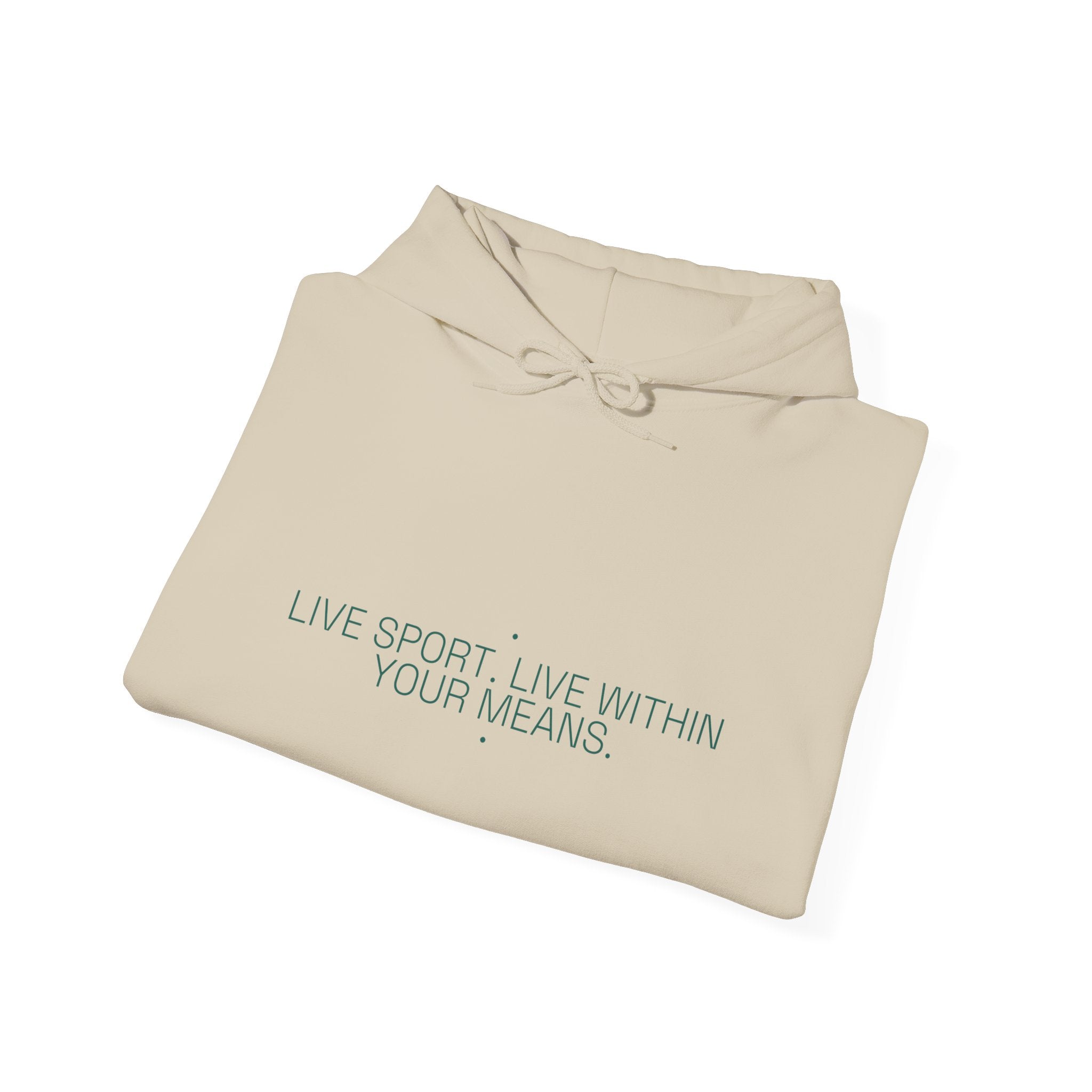 Live Sport. Live Within Your Means. - Trendy Teez Funny Hoodie mockup