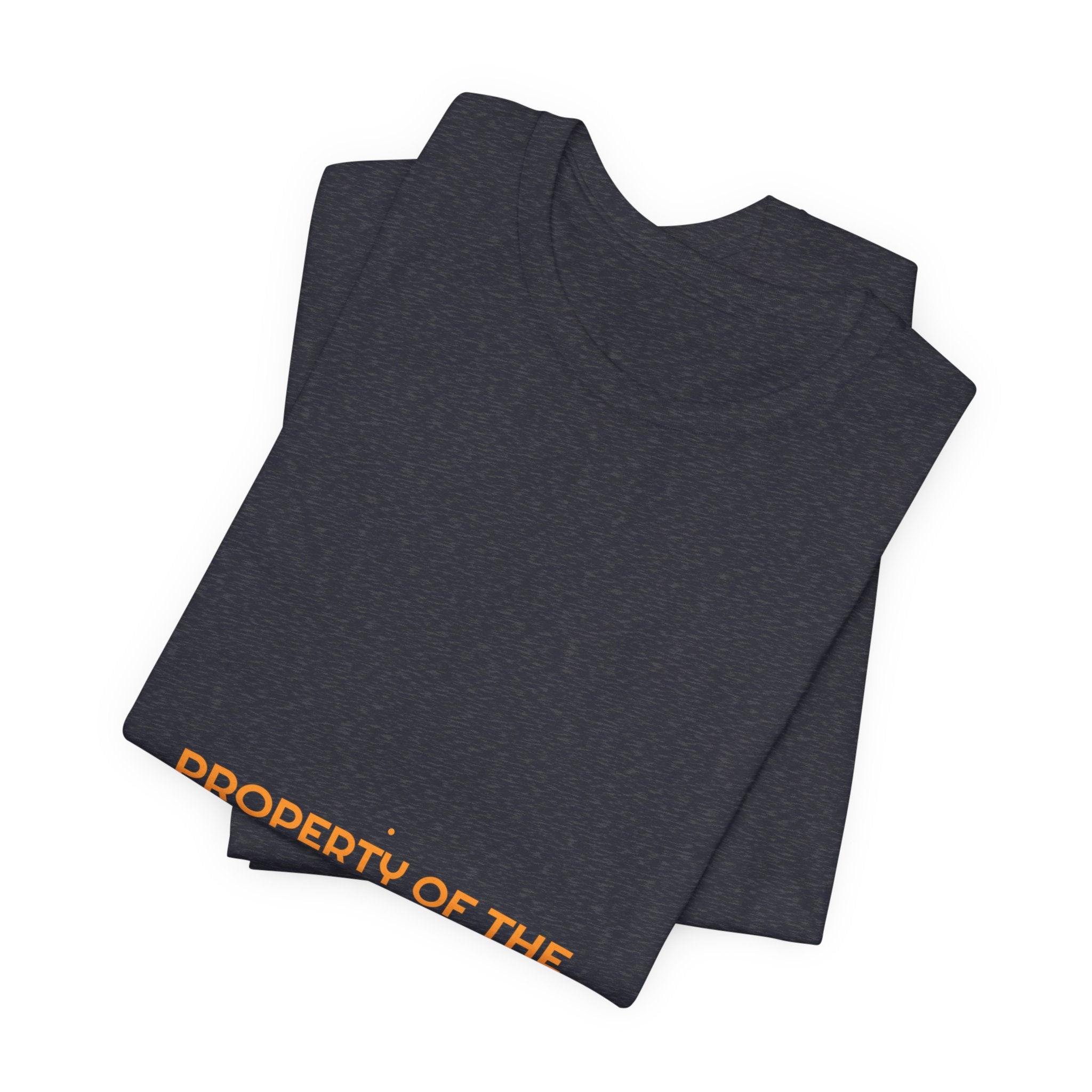 Property Of The Internet - Trendy Teez Funny Tee mockup
