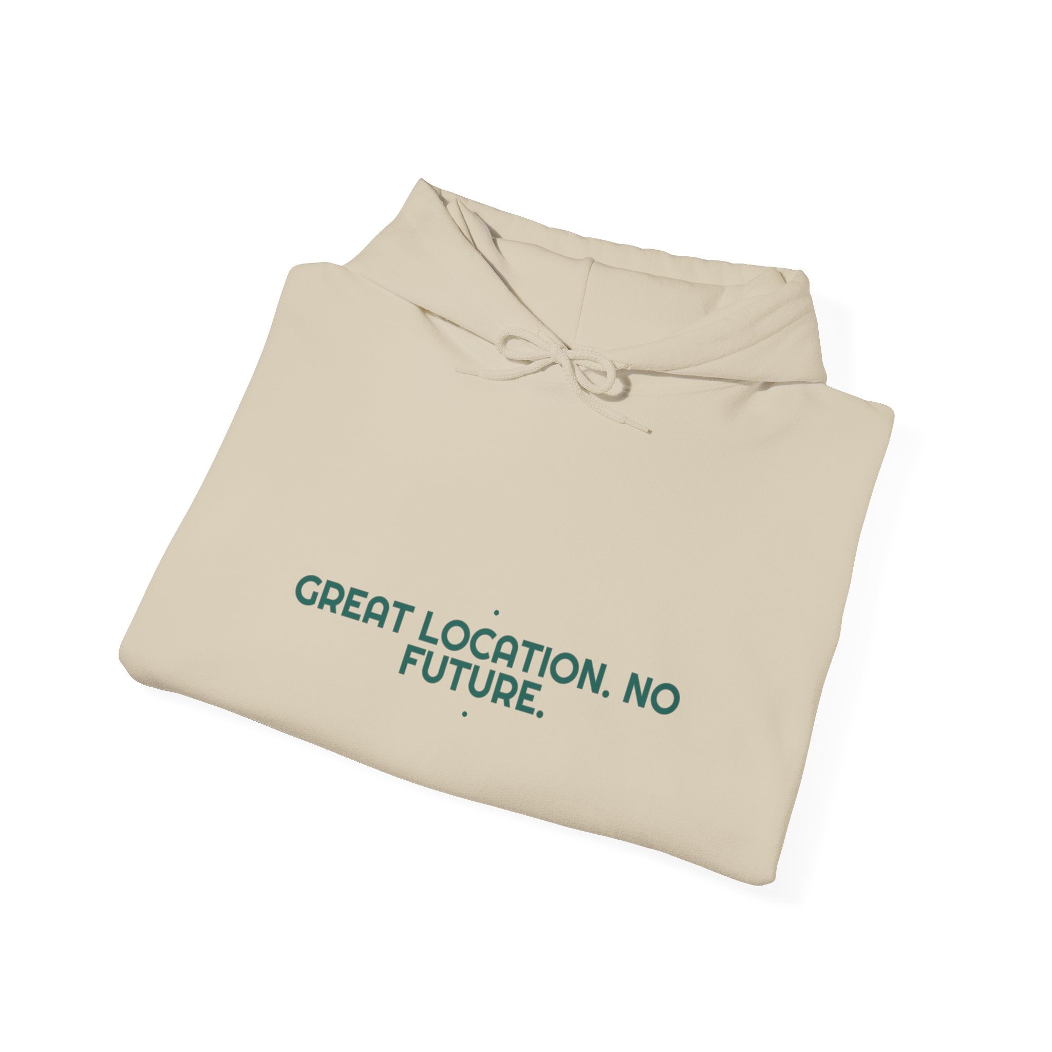Great Location. No Future. - Trendy Teez Funny Hoodie mockup