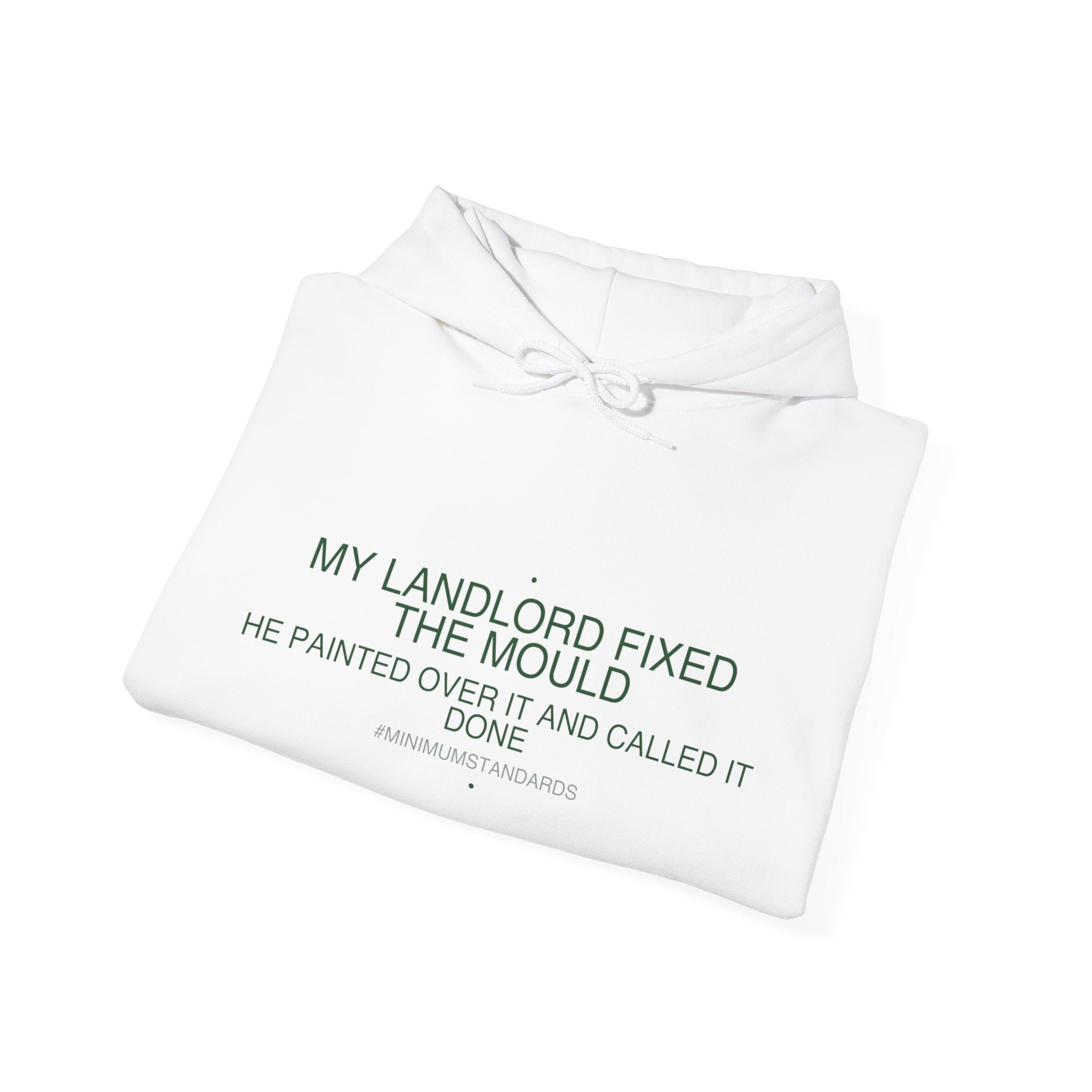My Landlord Fixed The Mould - Trendy Teez Funny Hoodie mockup