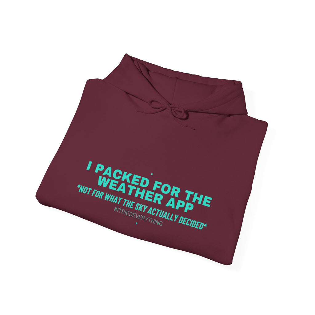 I Packed For The Weather App - Trendy Teez Funny Hoodie mockup