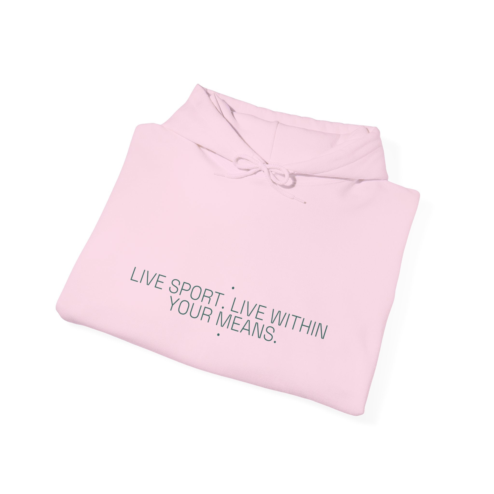 Live Sport. Live Within Your Means. - Trendy Teez Funny Hoodie mockup