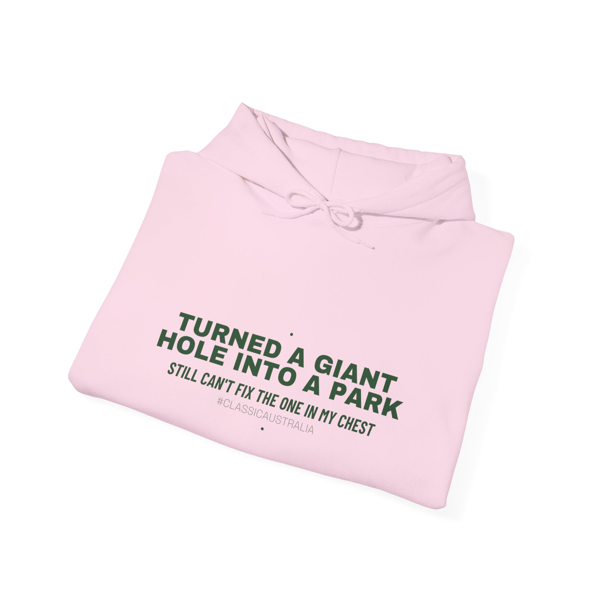 Turned A Giant Hole Into A Park — Funny Hoodie