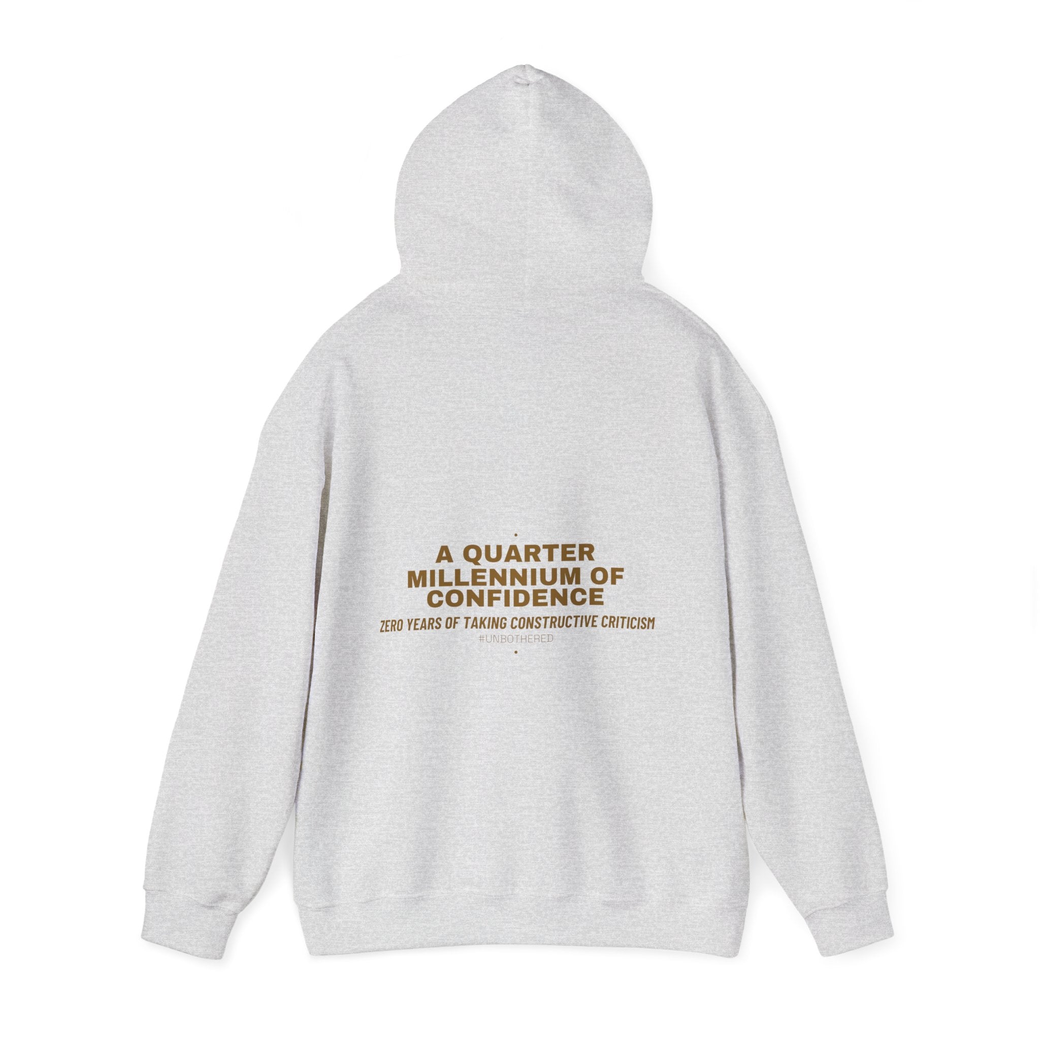 A Quarter Millennium Of Confidence — Funny Hoodie (Back Print)