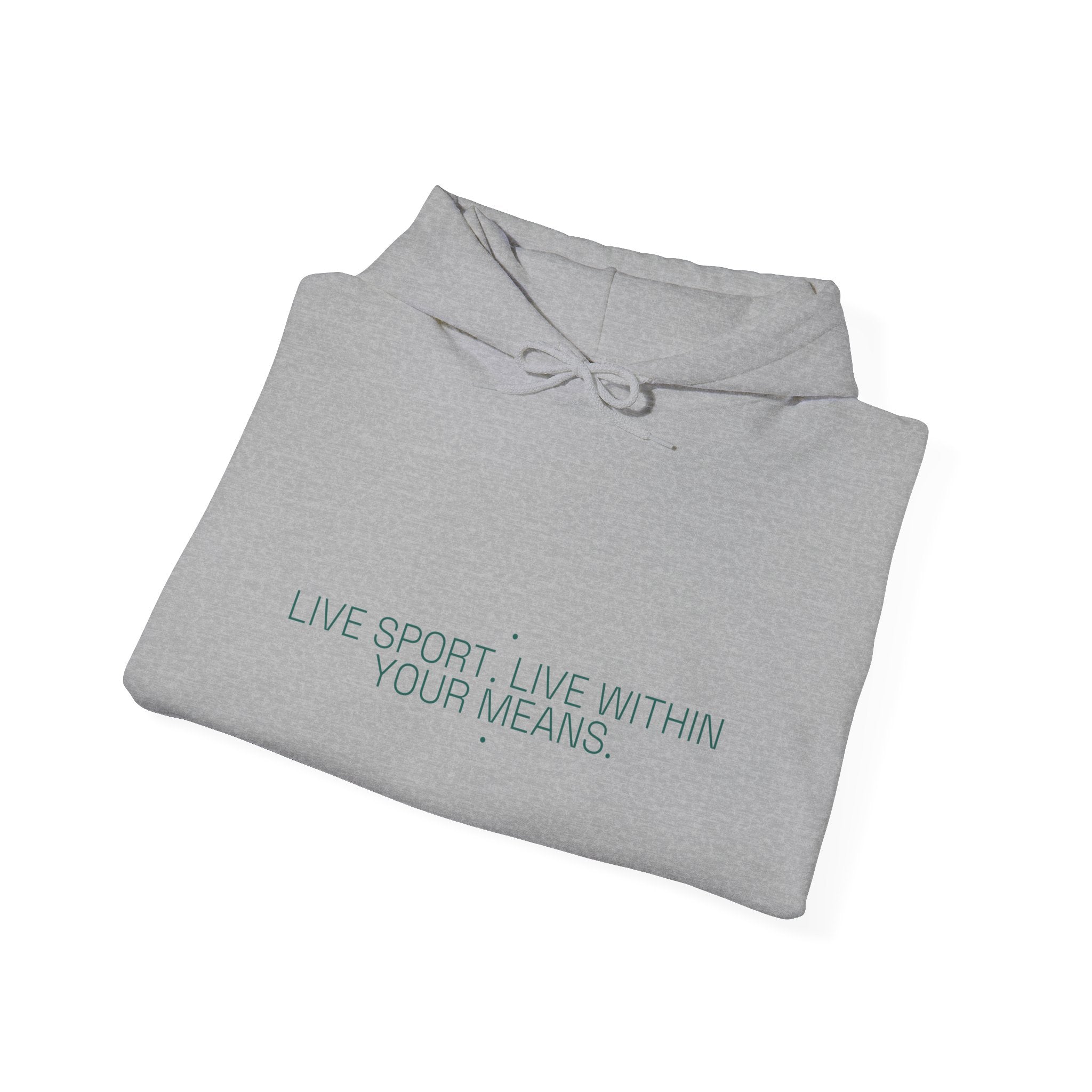 Live Sport. Live Within Your Means. - Trendy Teez Funny Hoodie mockup