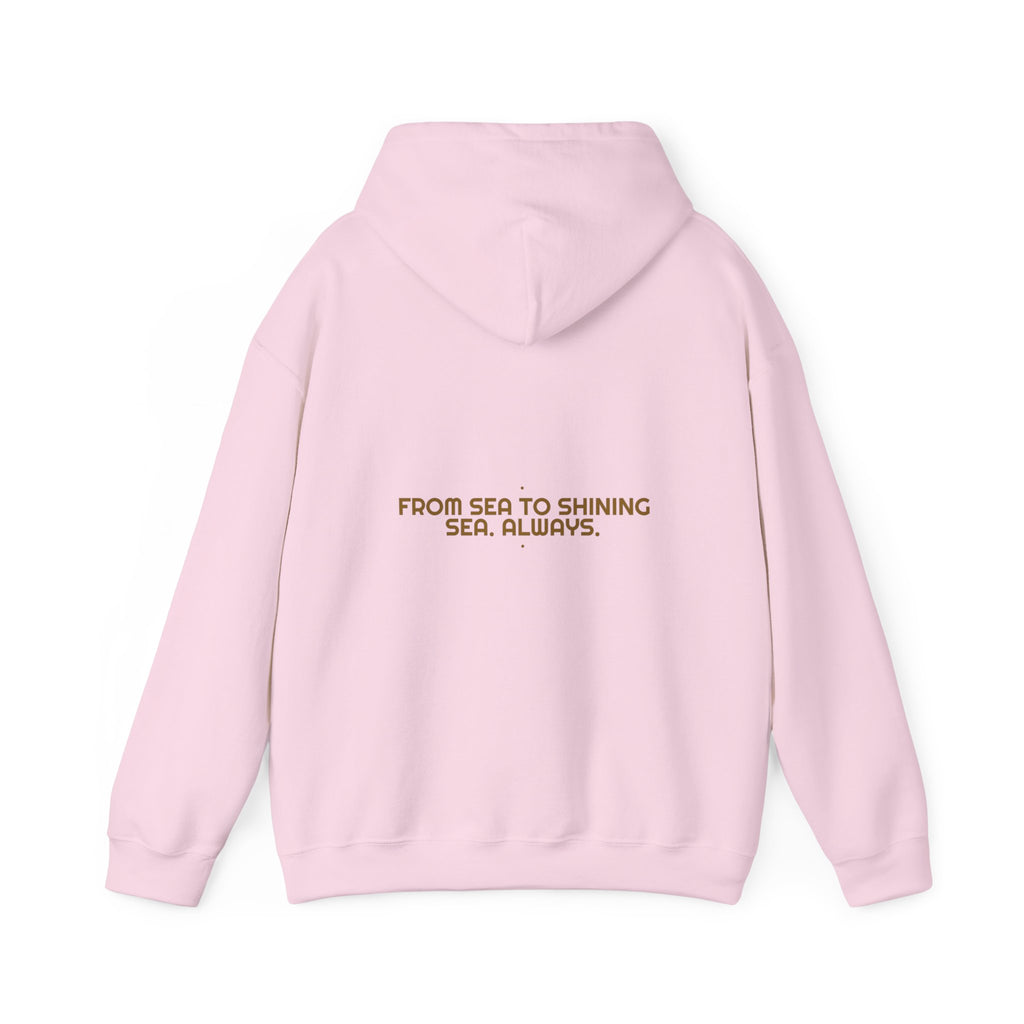 From Sea To Shining Sea. Always. - Trendy Teez Funny Hoodie (Back Print) mockup