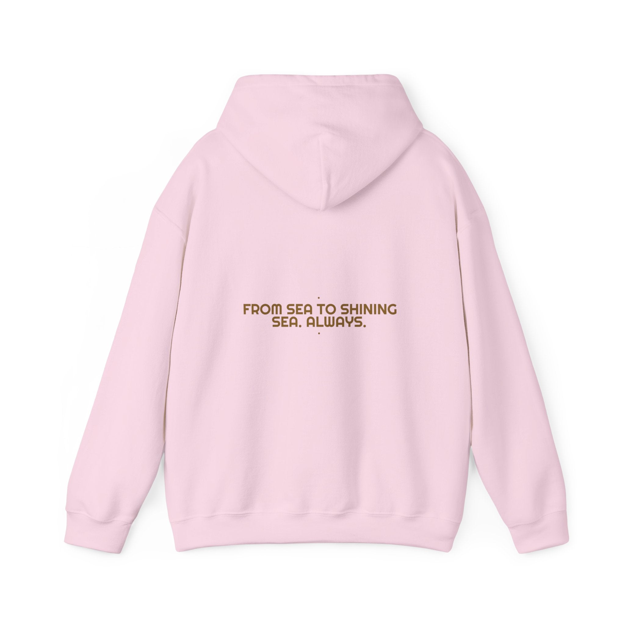 From Sea To Shining Sea. Always. - Trendy Teez Funny Hoodie (Back Print) mockup