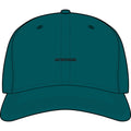 250 Years Old And Still Not Listening — Funny Cap