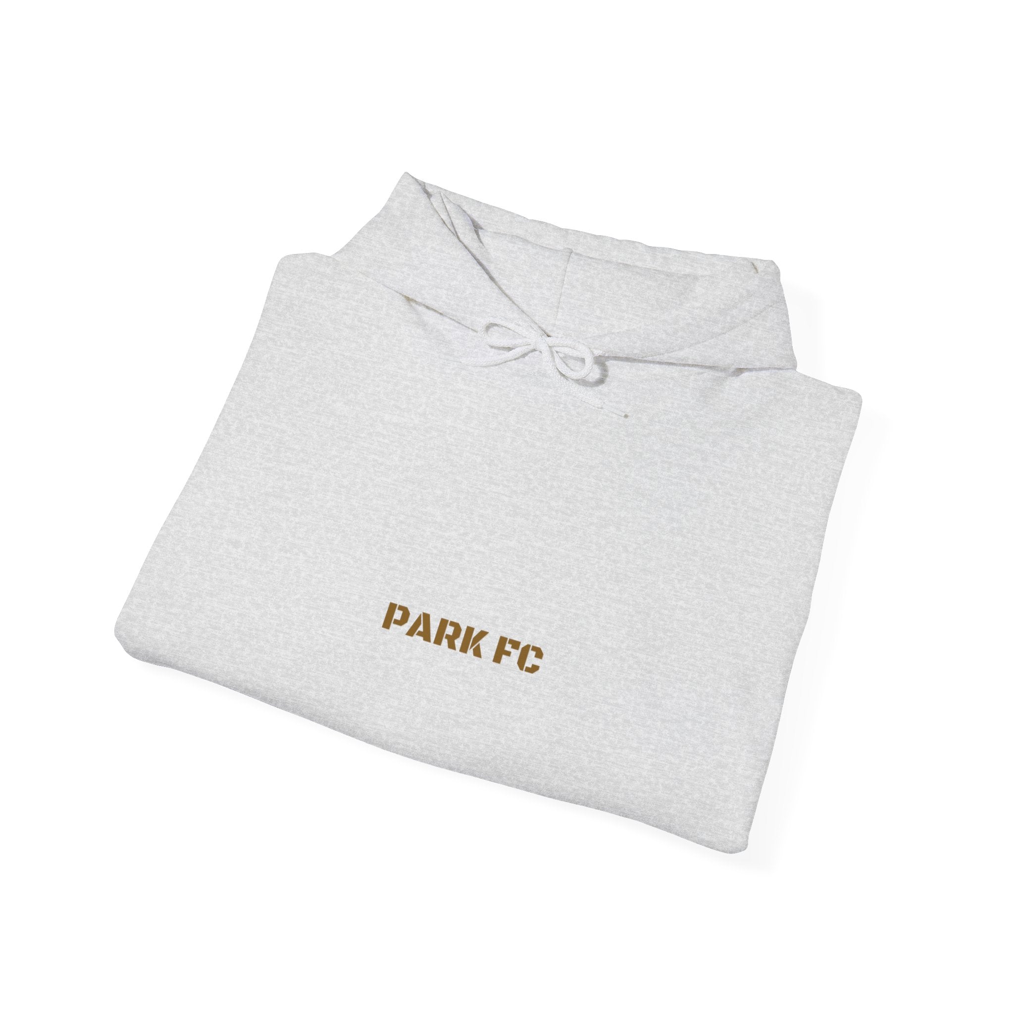 Park Fc - Trendy Teez Funny Hoodie mockup