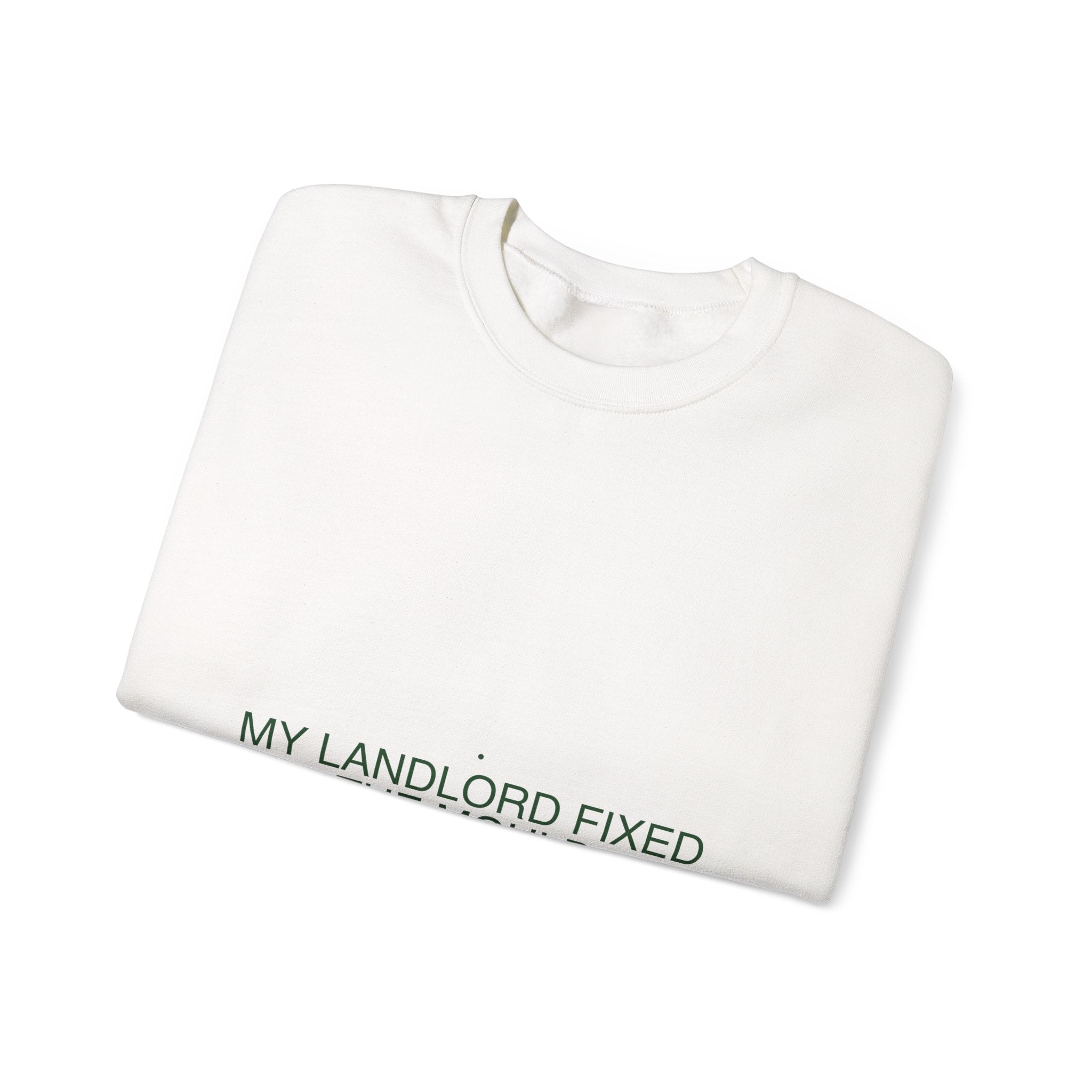 My Landlord Fixed The Mould - Trendy Teez Funny Crewneck mockup