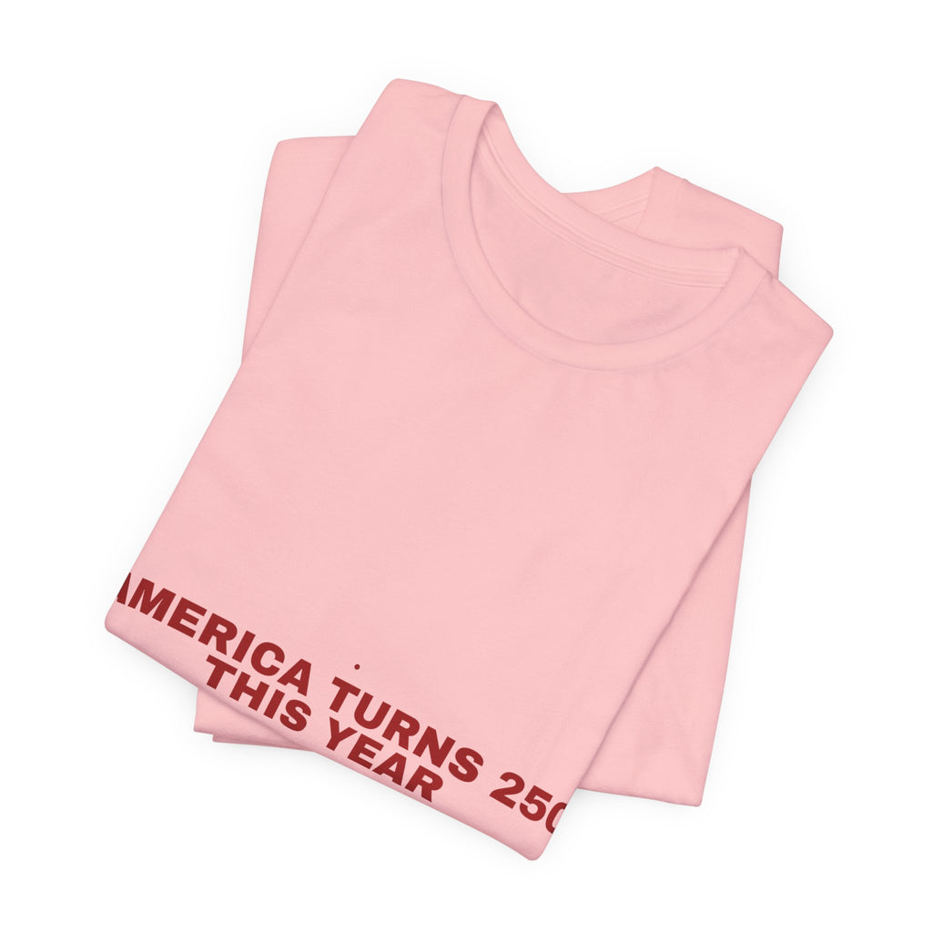 America Turns 250 This Year — Funny Tee