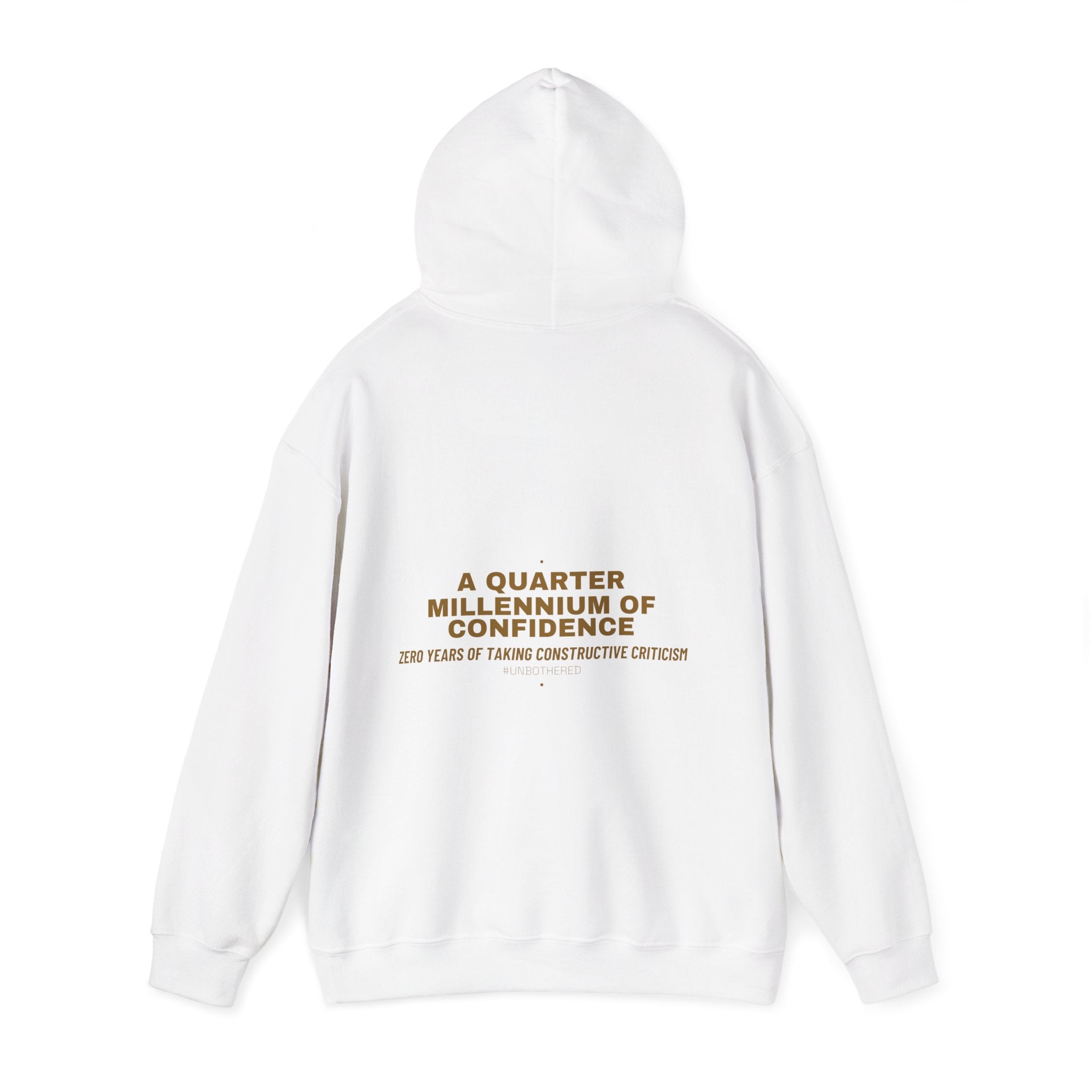 A Quarter Millennium Of Confidence — Funny Hoodie (Back Print)