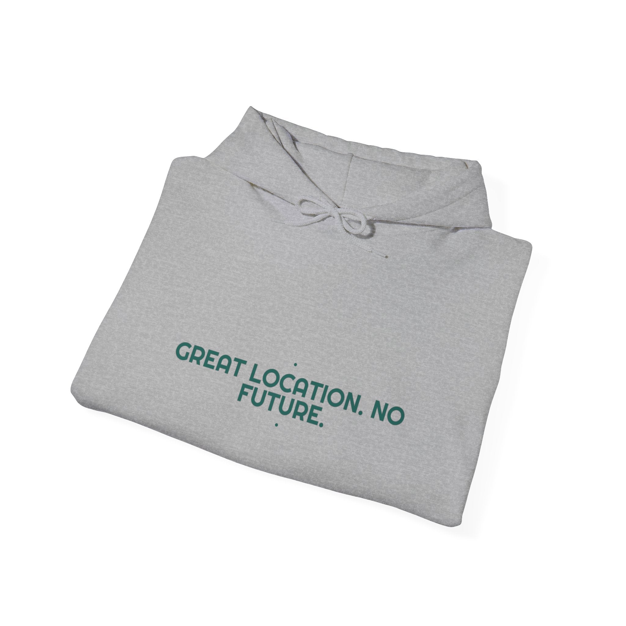 Great Location. No Future. - Trendy Teez Funny Hoodie mockup