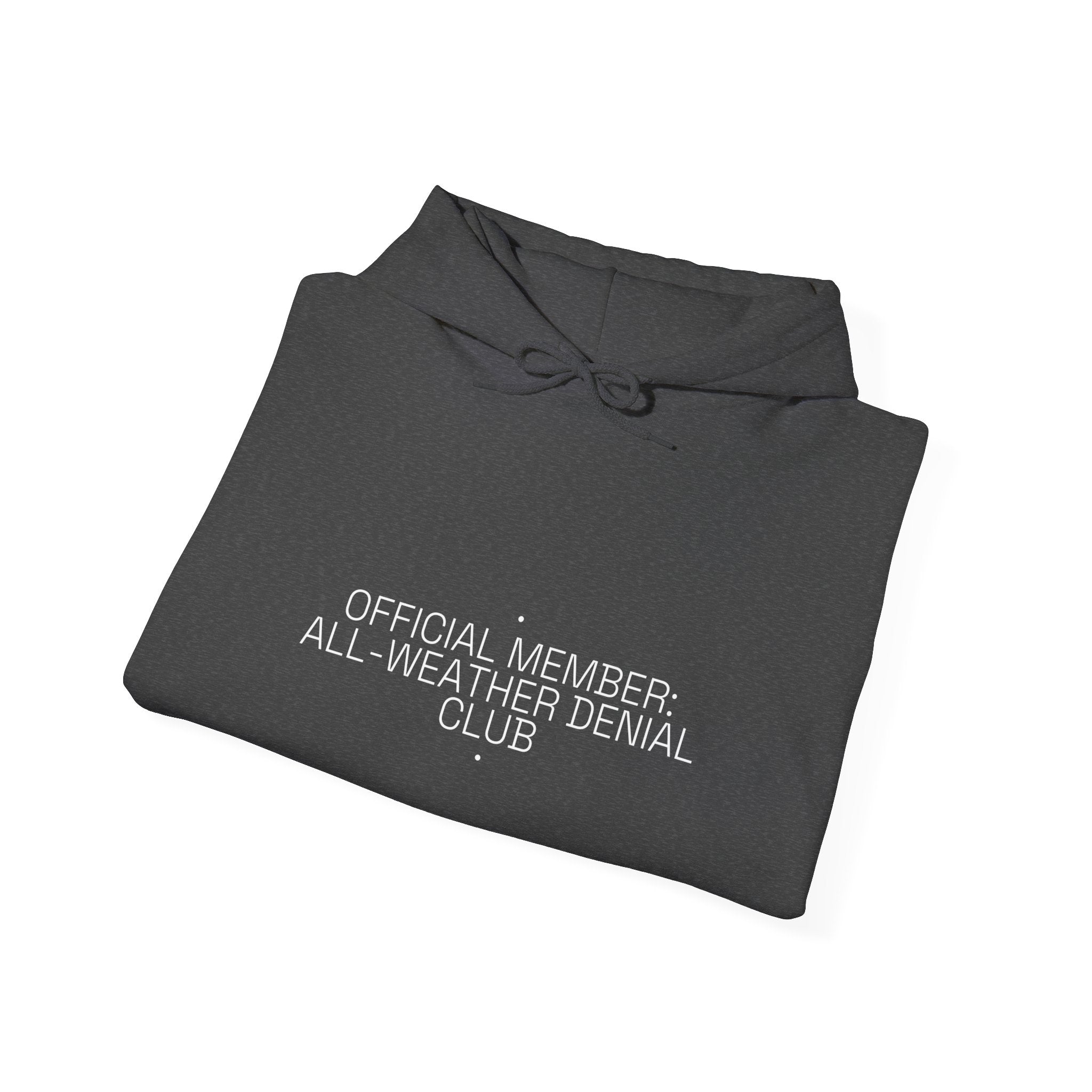 Official Member: All-Weather Denial Club - Trendy Teez Funny Hoodie mockup