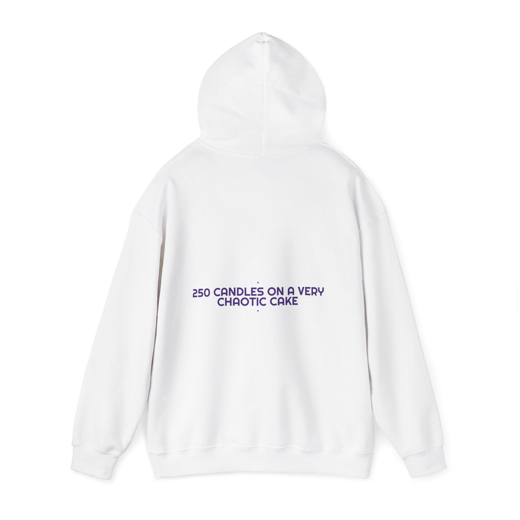 250 Candles On A Very Chaotic Cake — Funny Hoodie (Back Print)