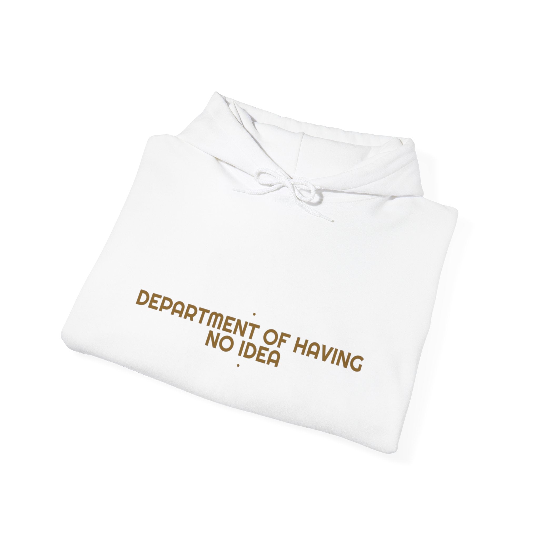 Department Of Having No Idea - Trendy Teez Funny Hoodie mockup
