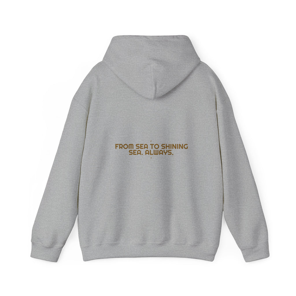 From Sea To Shining Sea. Always. - Trendy Teez Funny Hoodie (Back Print) mockup