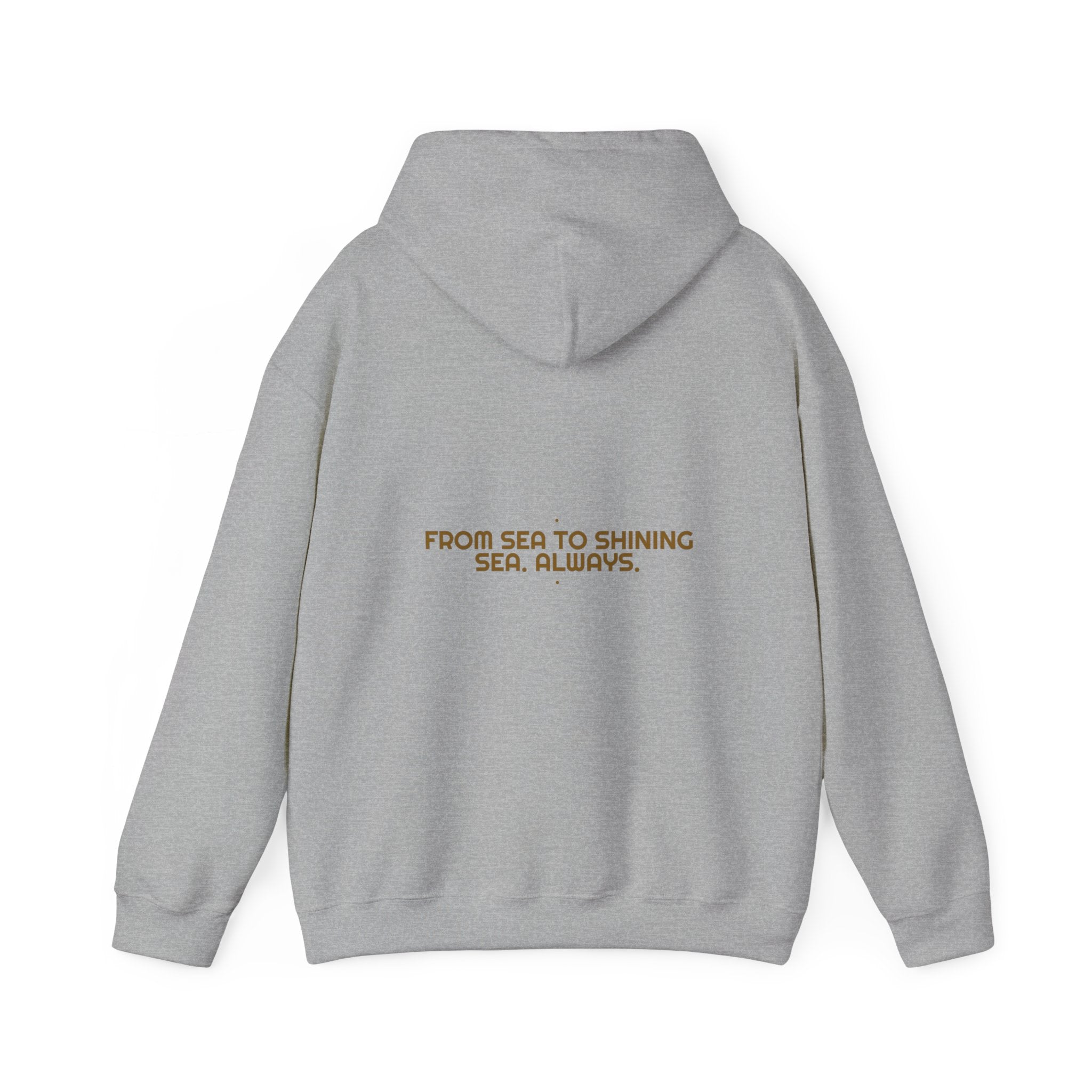 From Sea To Shining Sea. Always. - Trendy Teez Funny Hoodie (Back Print) mockup